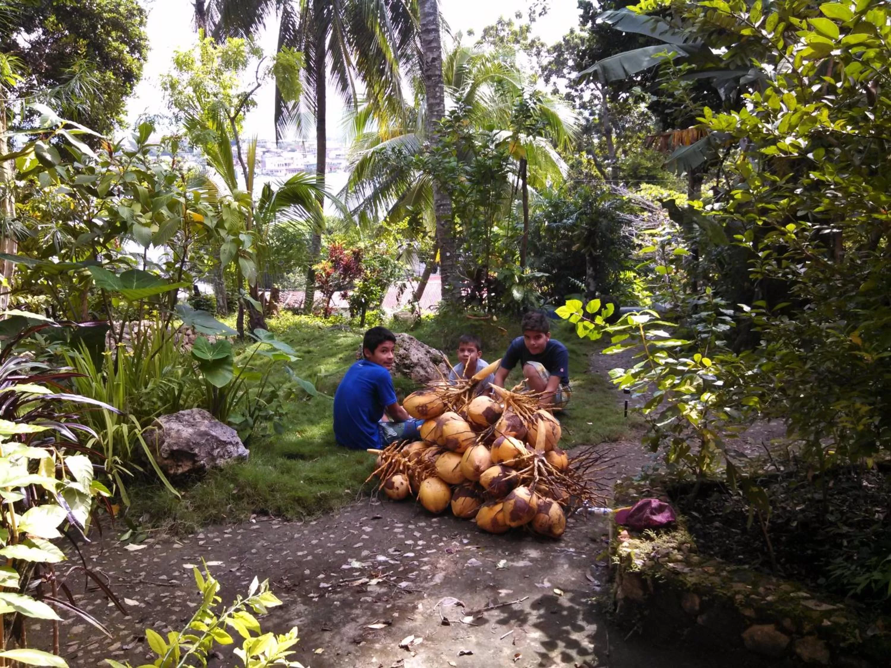 People in Zapote Tree Inn