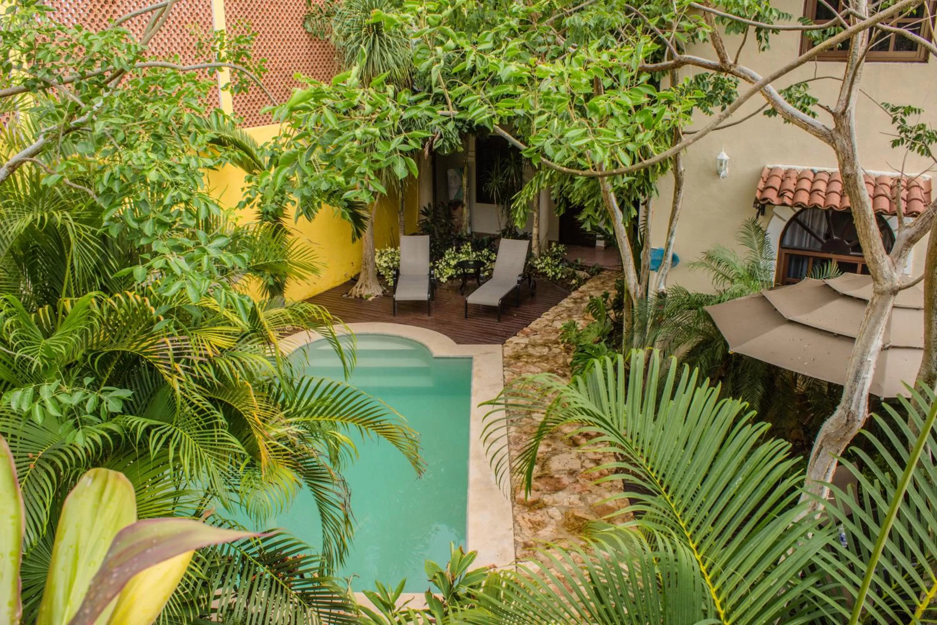 View (from property/room) in Hotel Marionetas