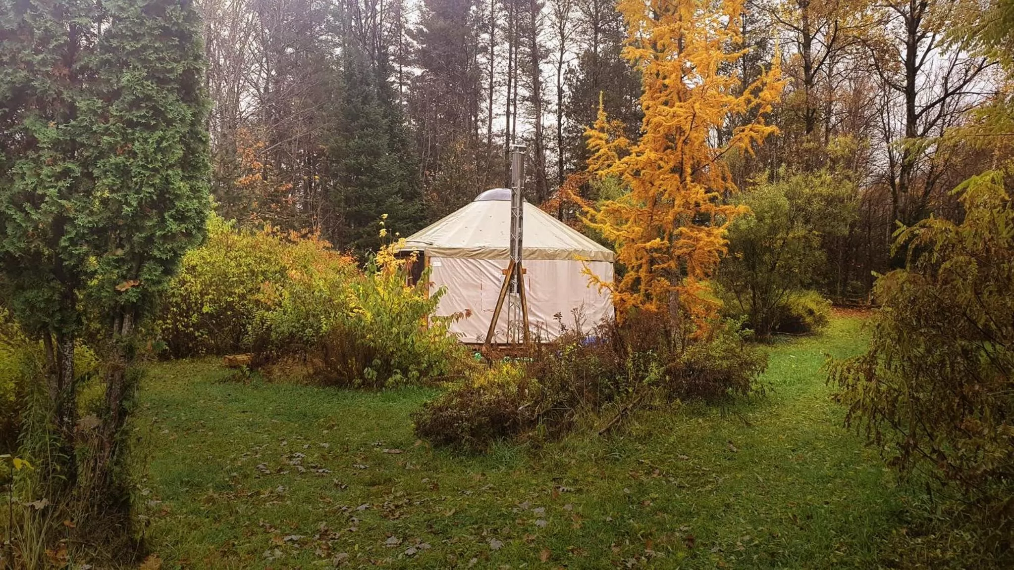 Natural landscape in Le Salon des Inconnus
