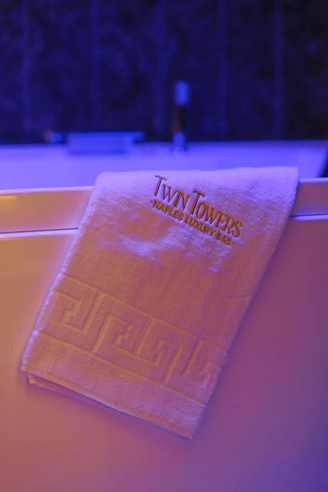 Property Logo/Sign in Twin Towers Naples Luxury