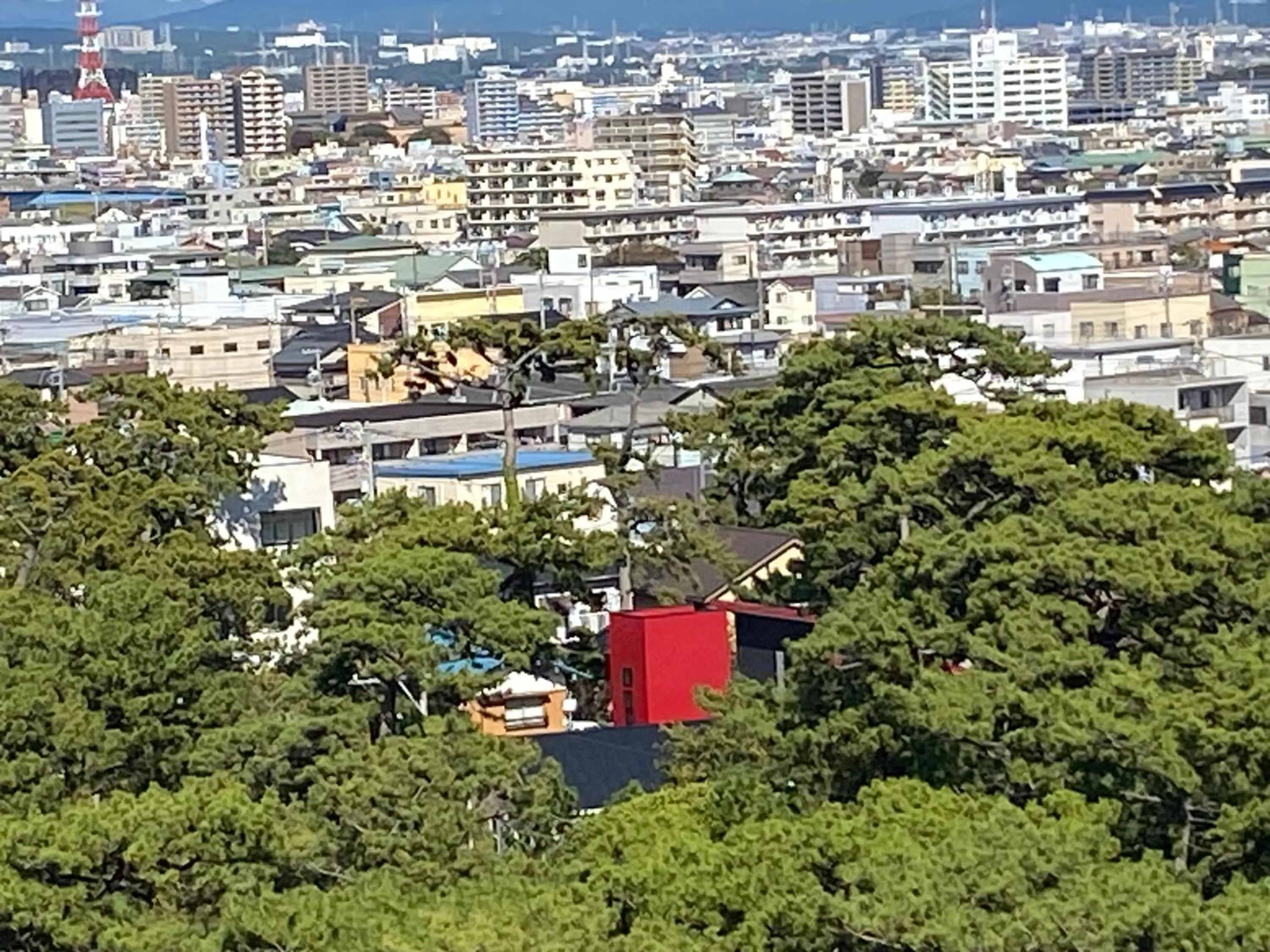 Property building in Minato Oasis Numazu / 沼津観光の中心、伊豆観光の拠点に好立地！沼津港に位置し交通・飲食・コンビニ等至便です！