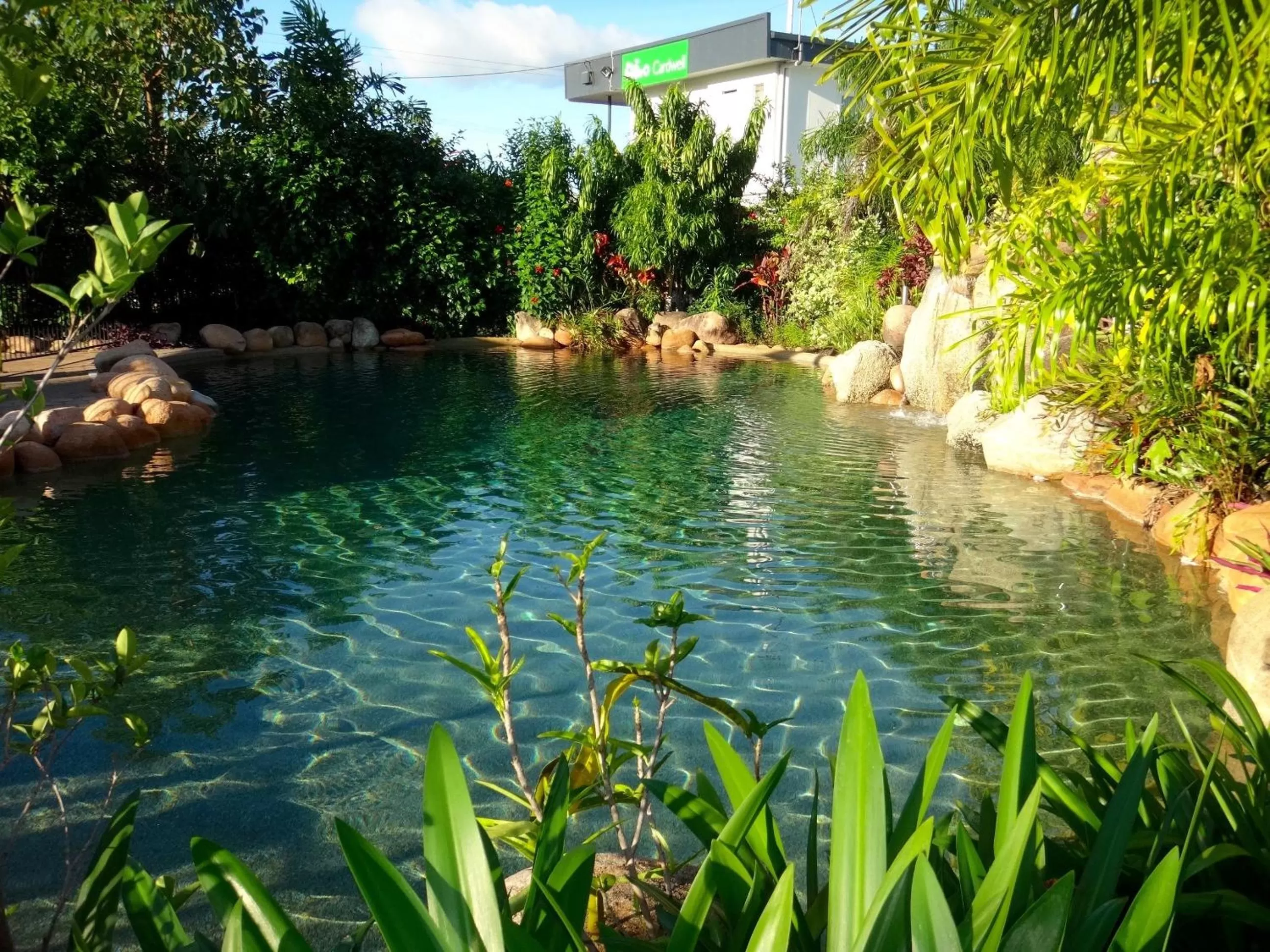 Swimming pool in Cardwell at the Beach