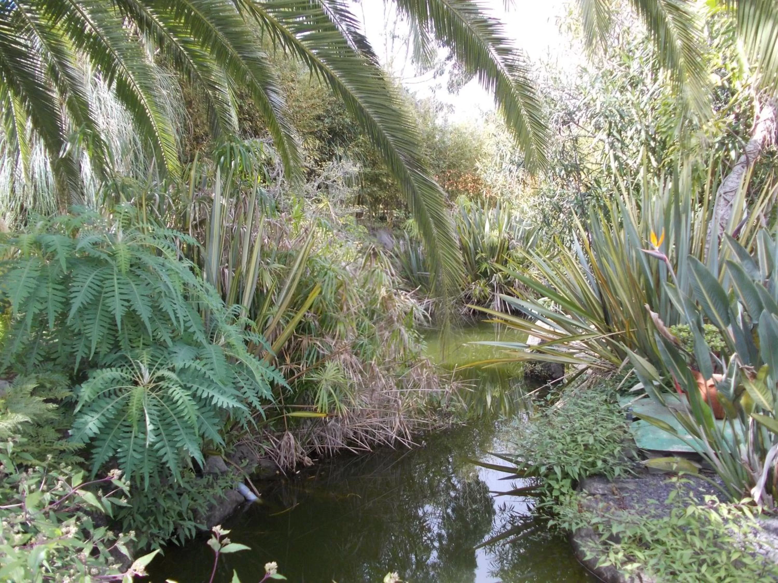 Garden in Hotel La Palma Romántica