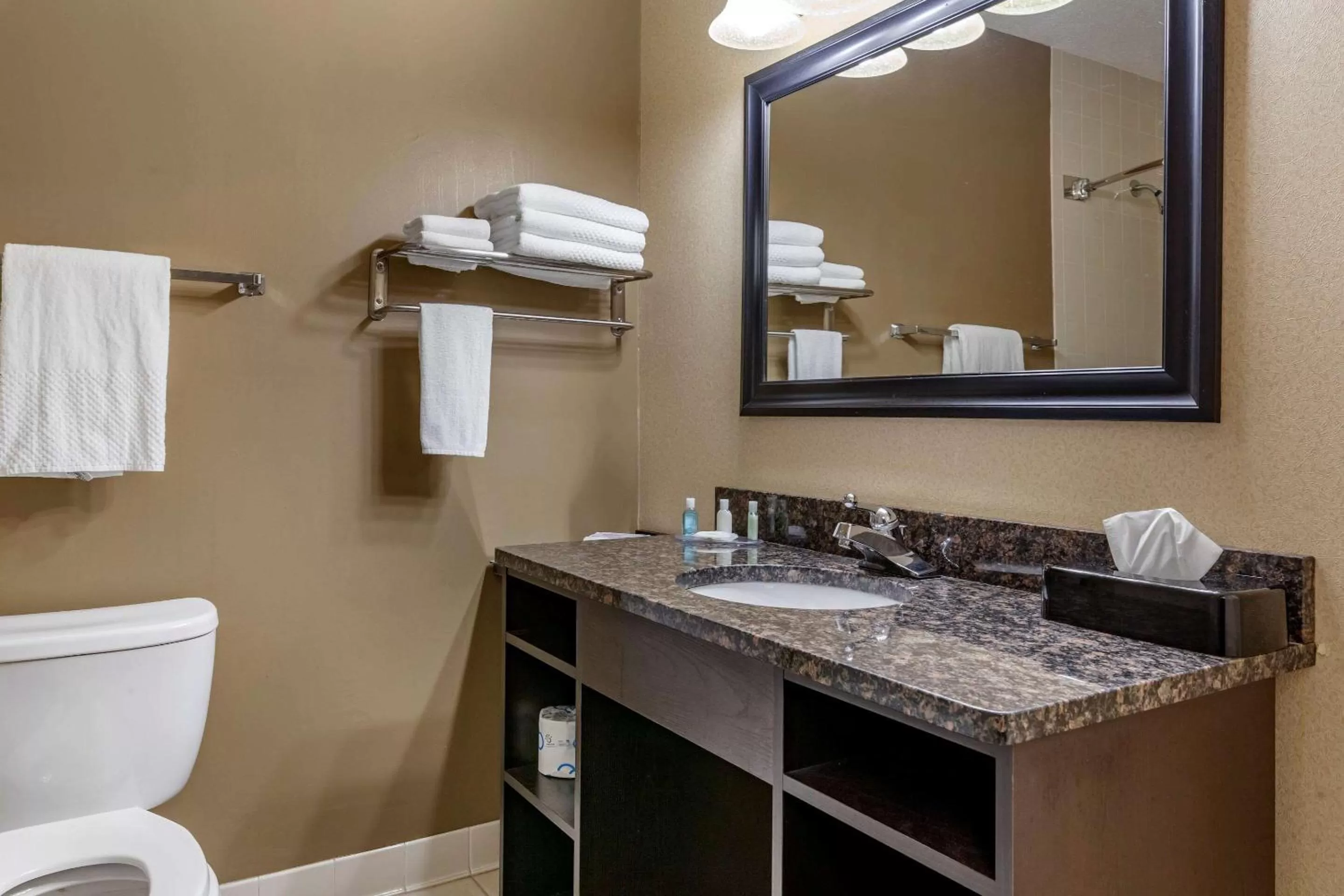 Bathroom in Quality Inn & Suites Escanaba North