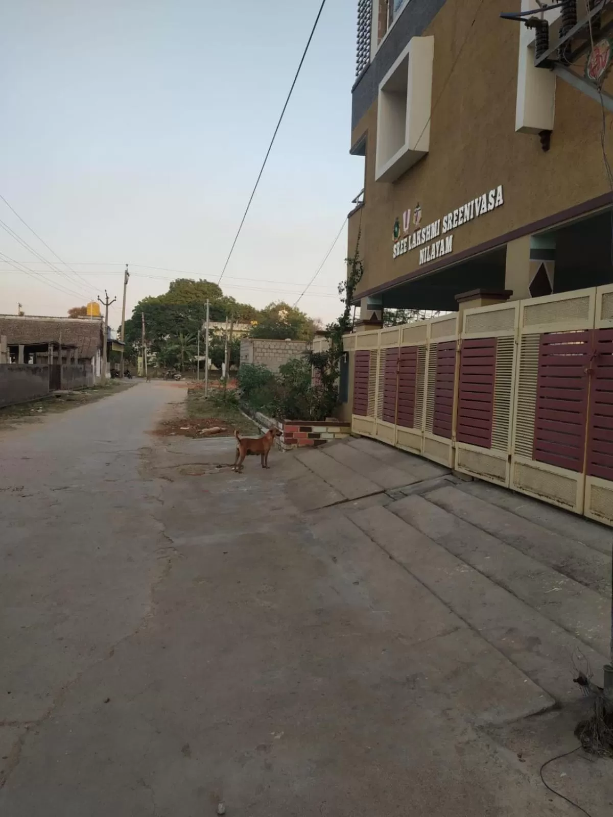 Property Building in SLS Homestay