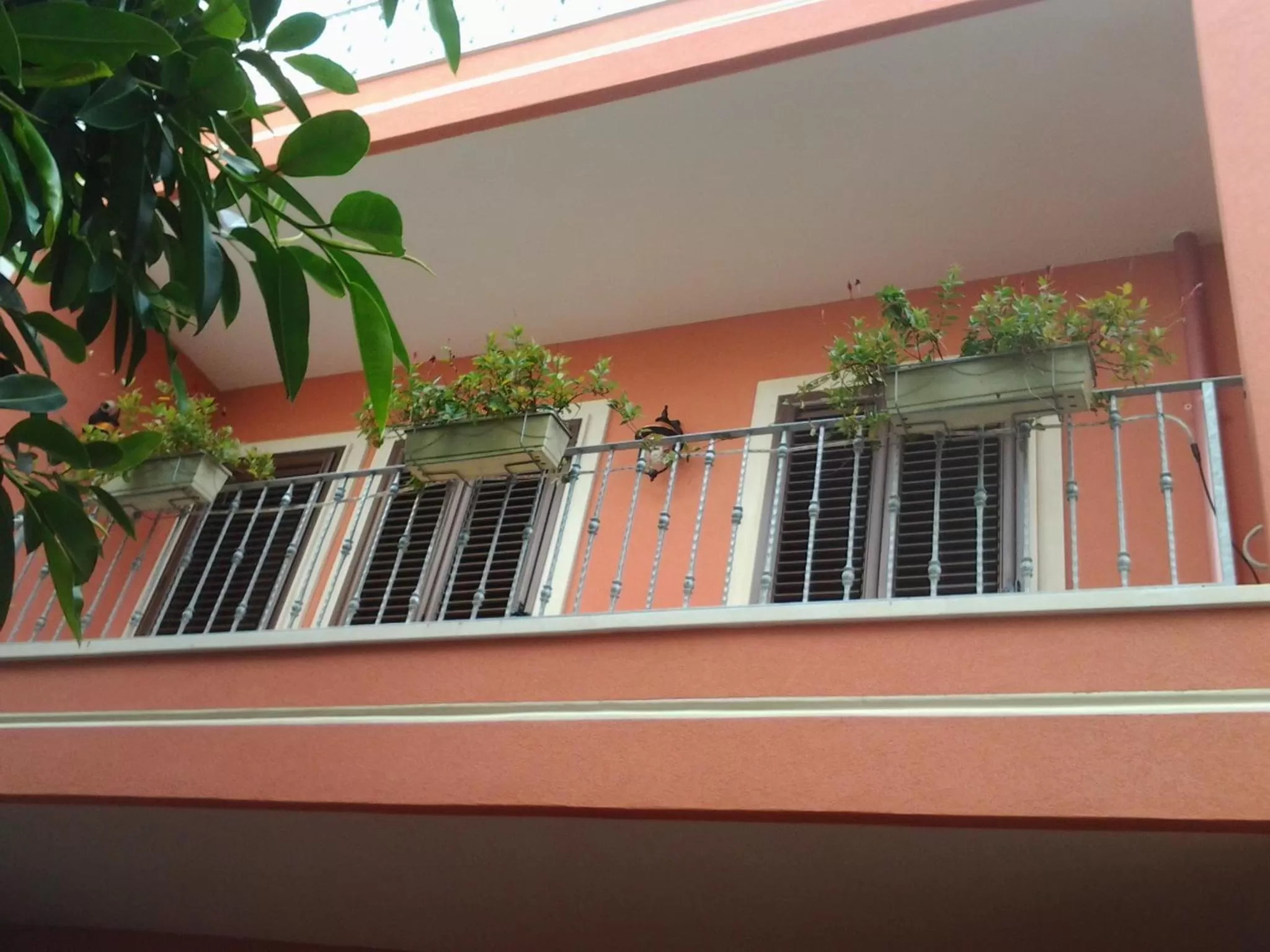 Property building in Dimora del Casale