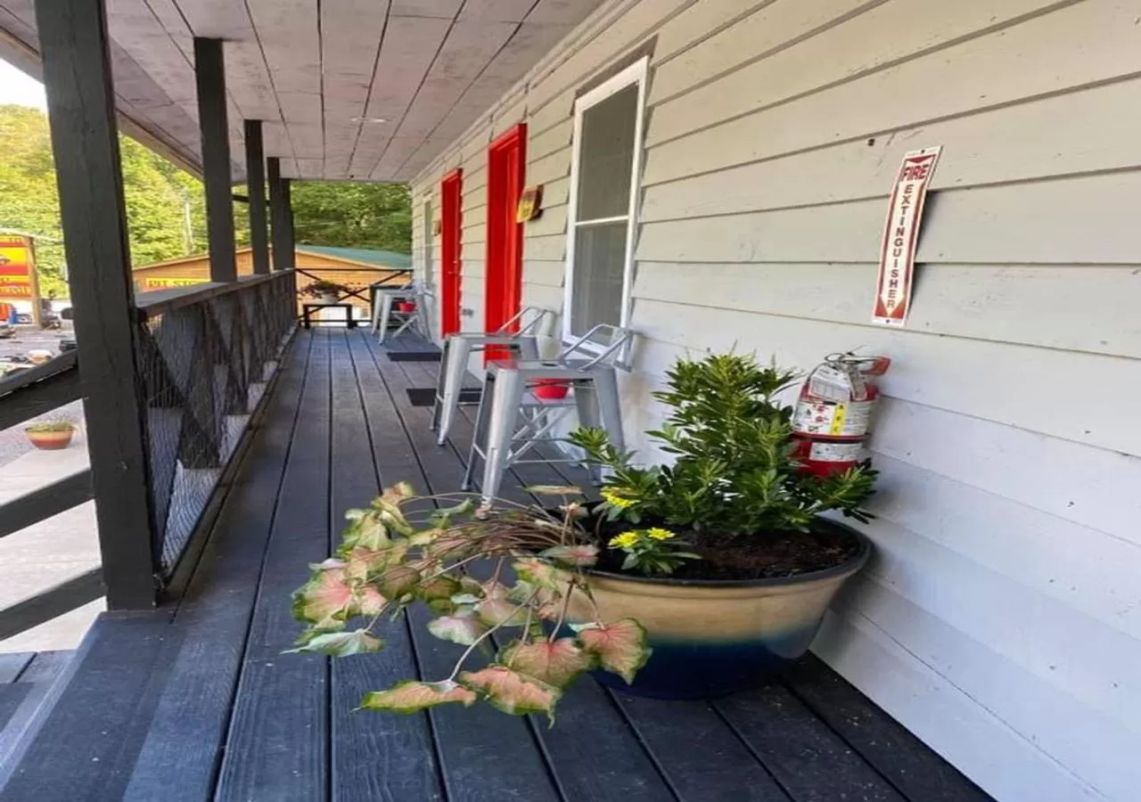 Deluxe Double Studio in Dragon City