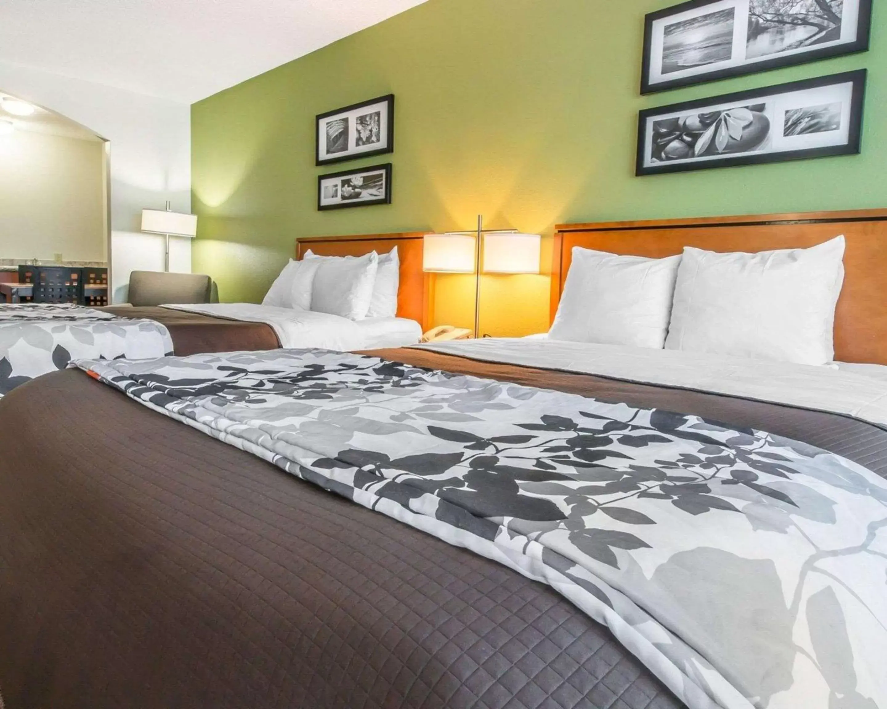 Standard Queen Room with Two Queen Beds- Non Smoking in Sleep Inn & Suites Winchester Standard Queen Room with Two Queen Beds- Non Smoking in Sleep Inn & Suites Winchester