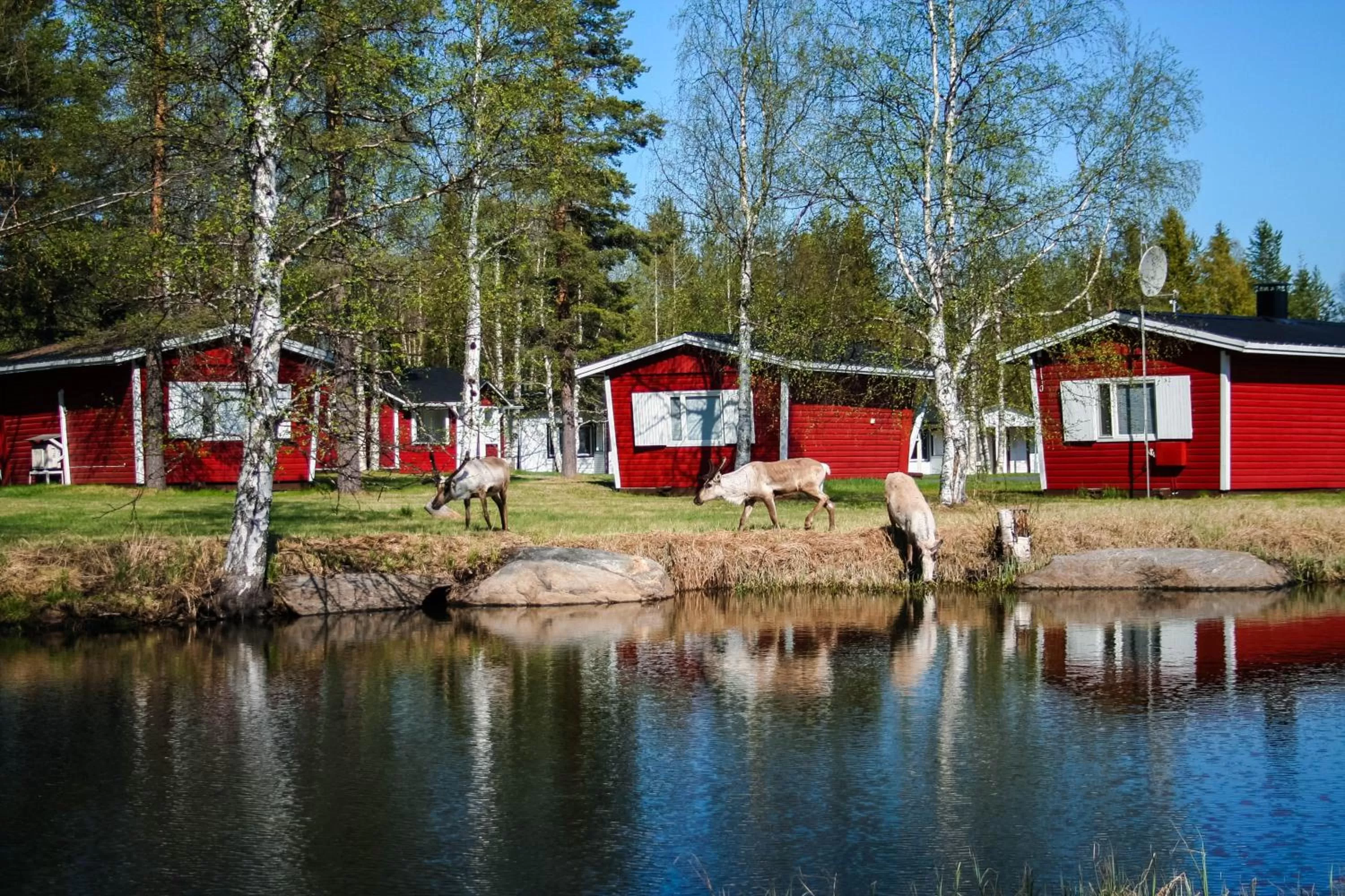 Logo/Certificate/Sign in Motelli Rovaniemi