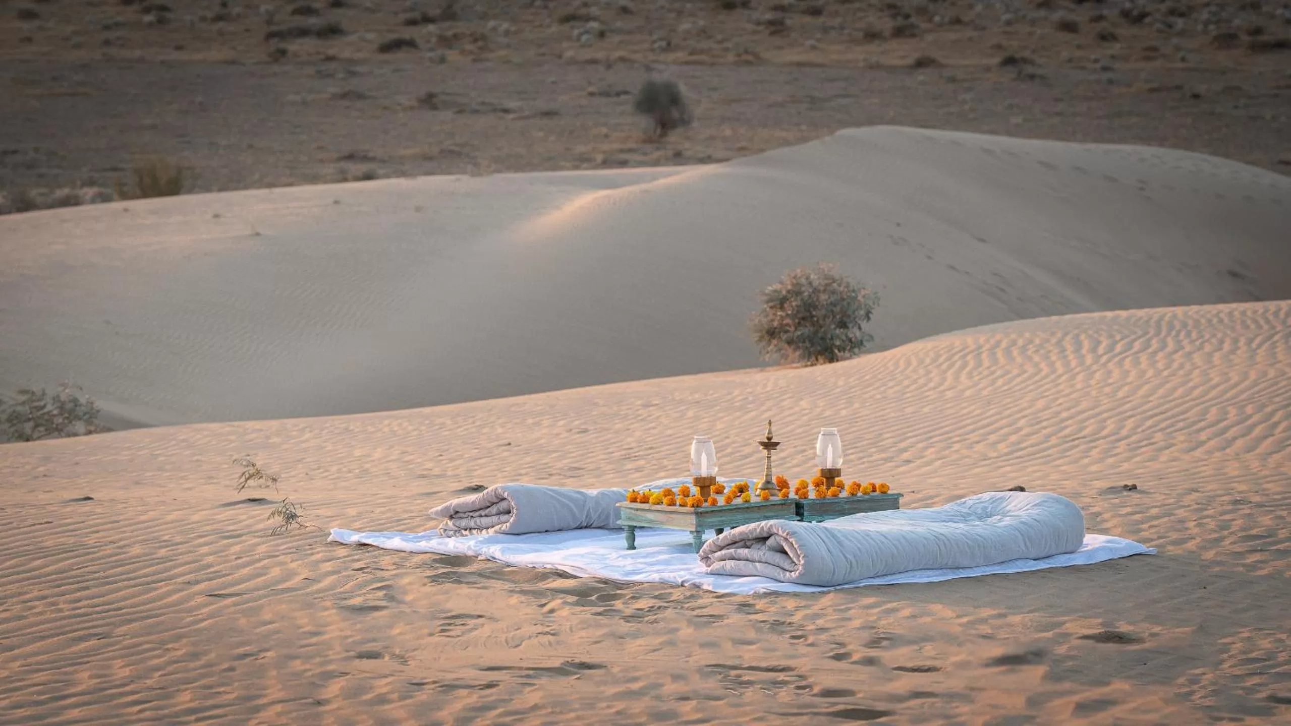 Day in Hotel Jasmin Haveli