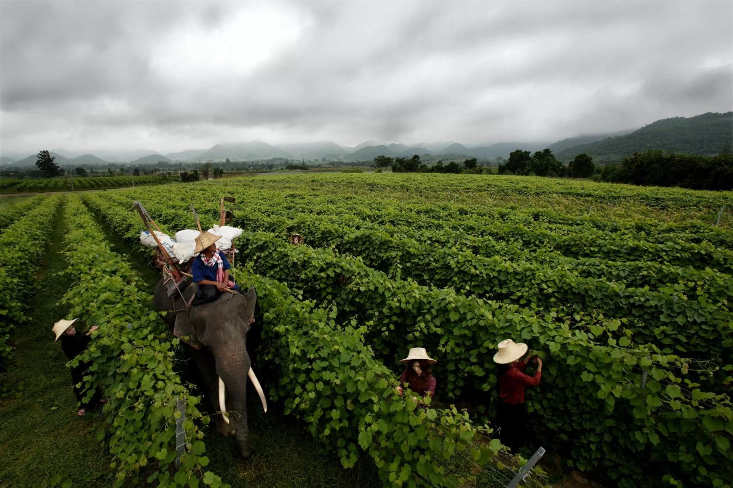 Nearby landmark in My Way Hua Hin Music Hotel SHA Extra Plus