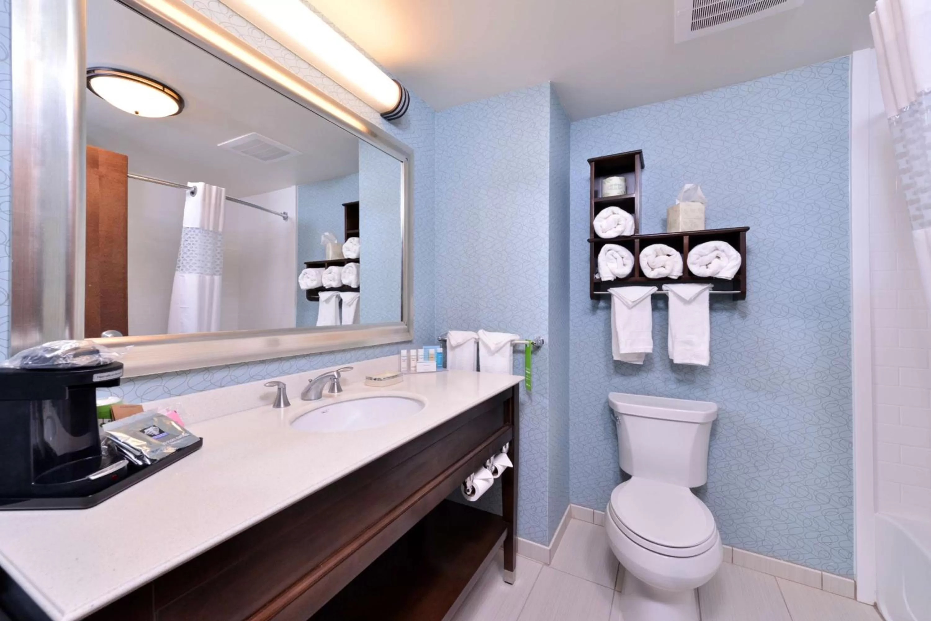 Bathroom in Hampton Inn Rome