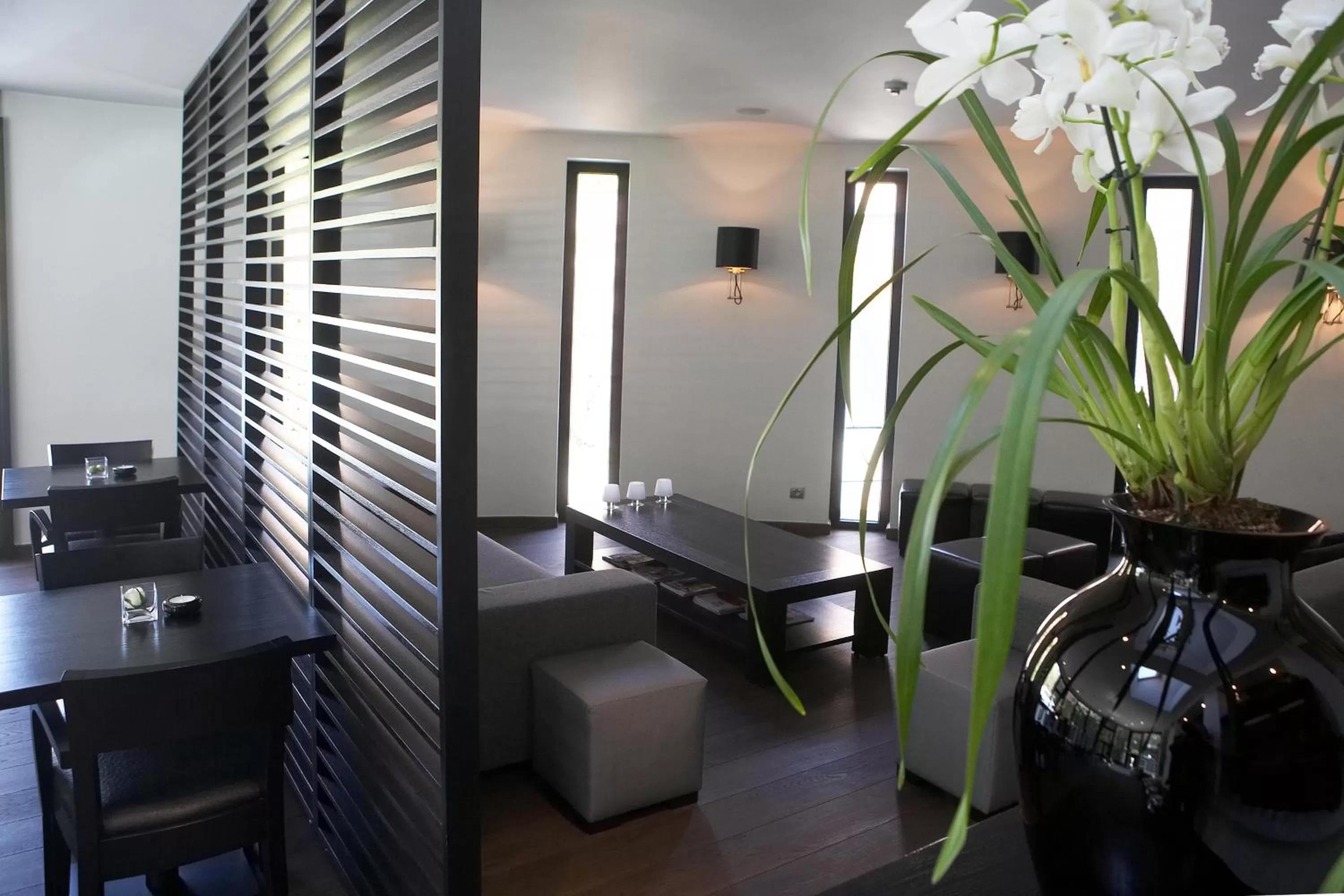 Restaurant/places to eat in Hotel Domus