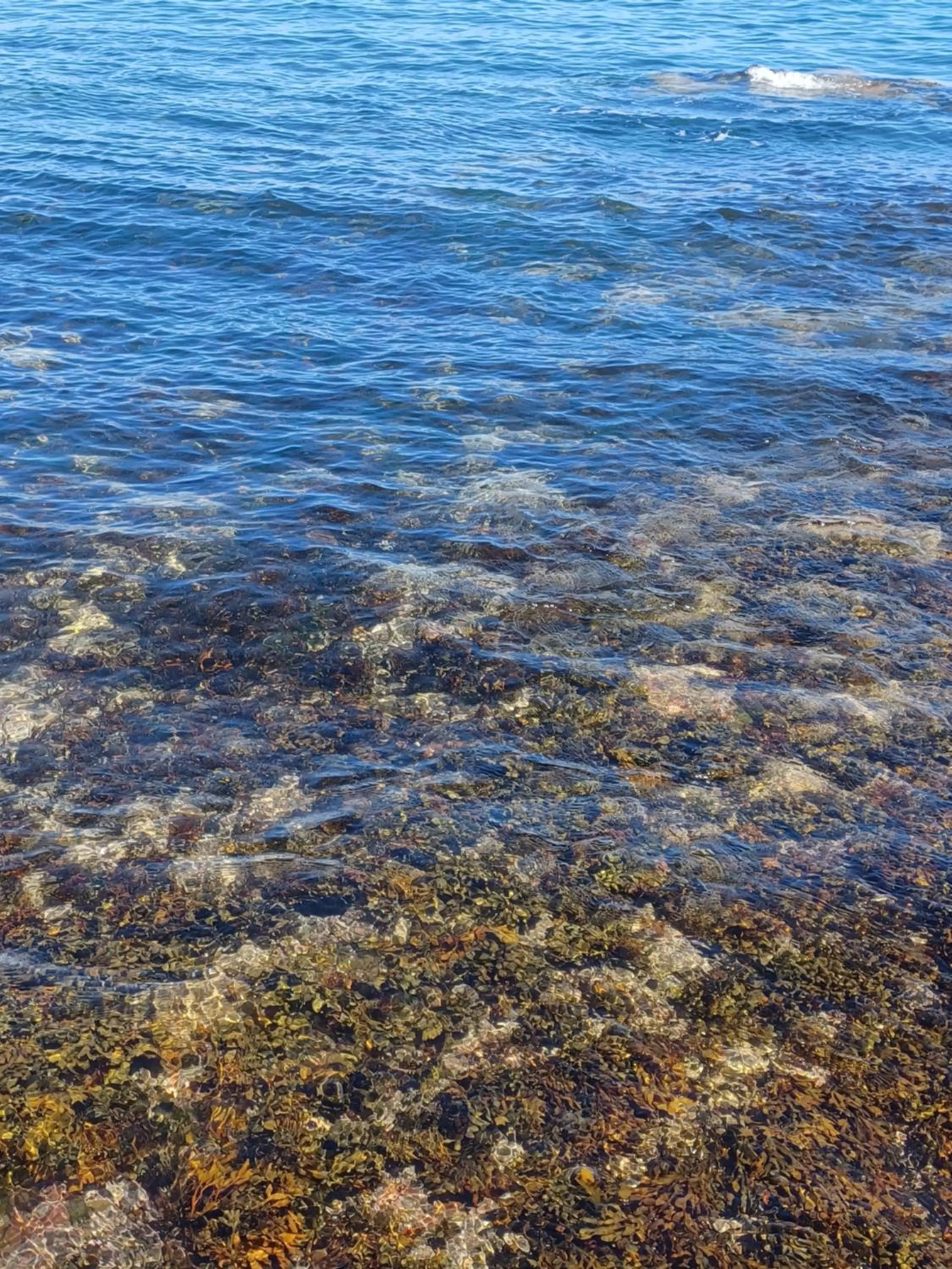 Belle Dene Guest House