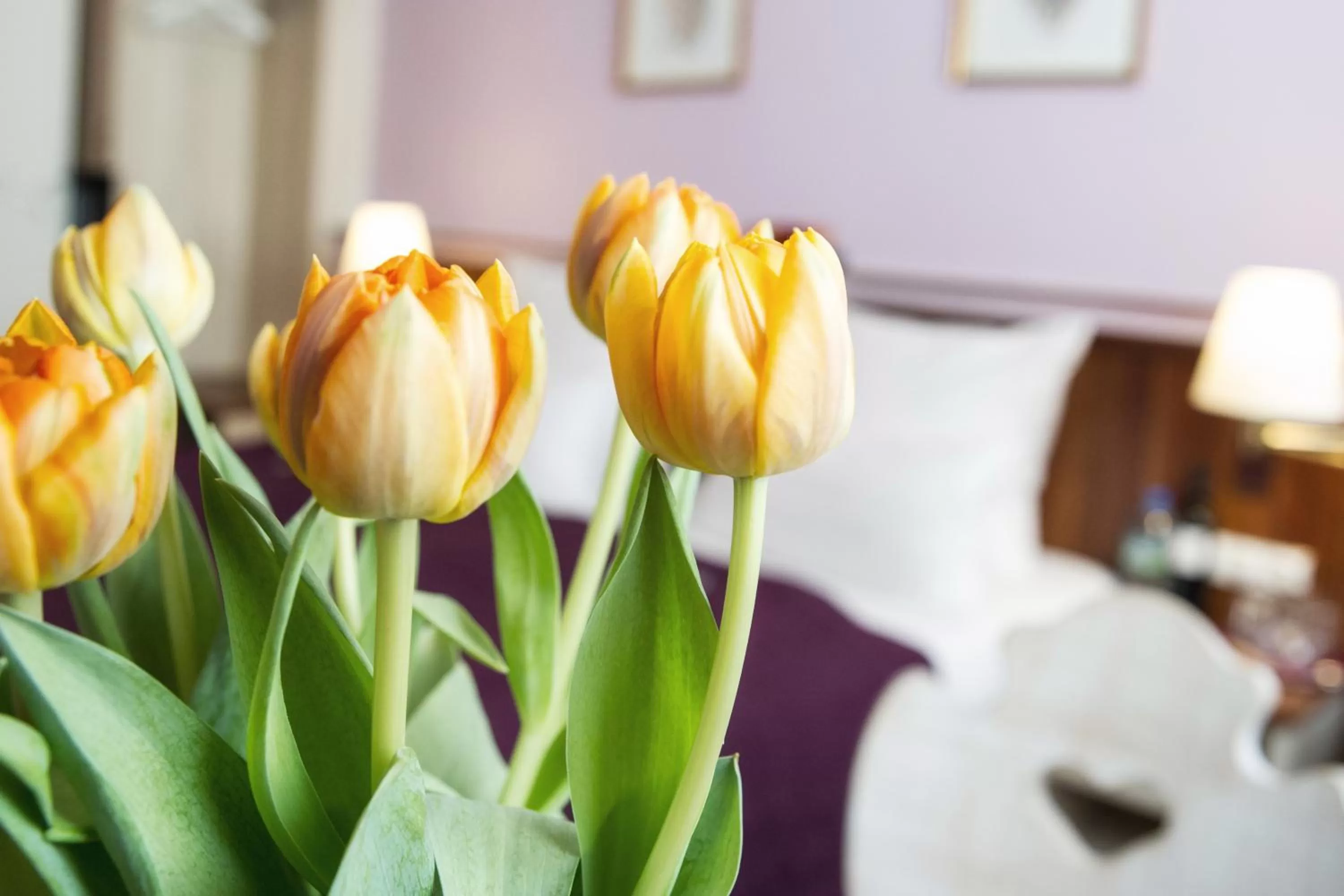 Other, Bed in Hotel Elch