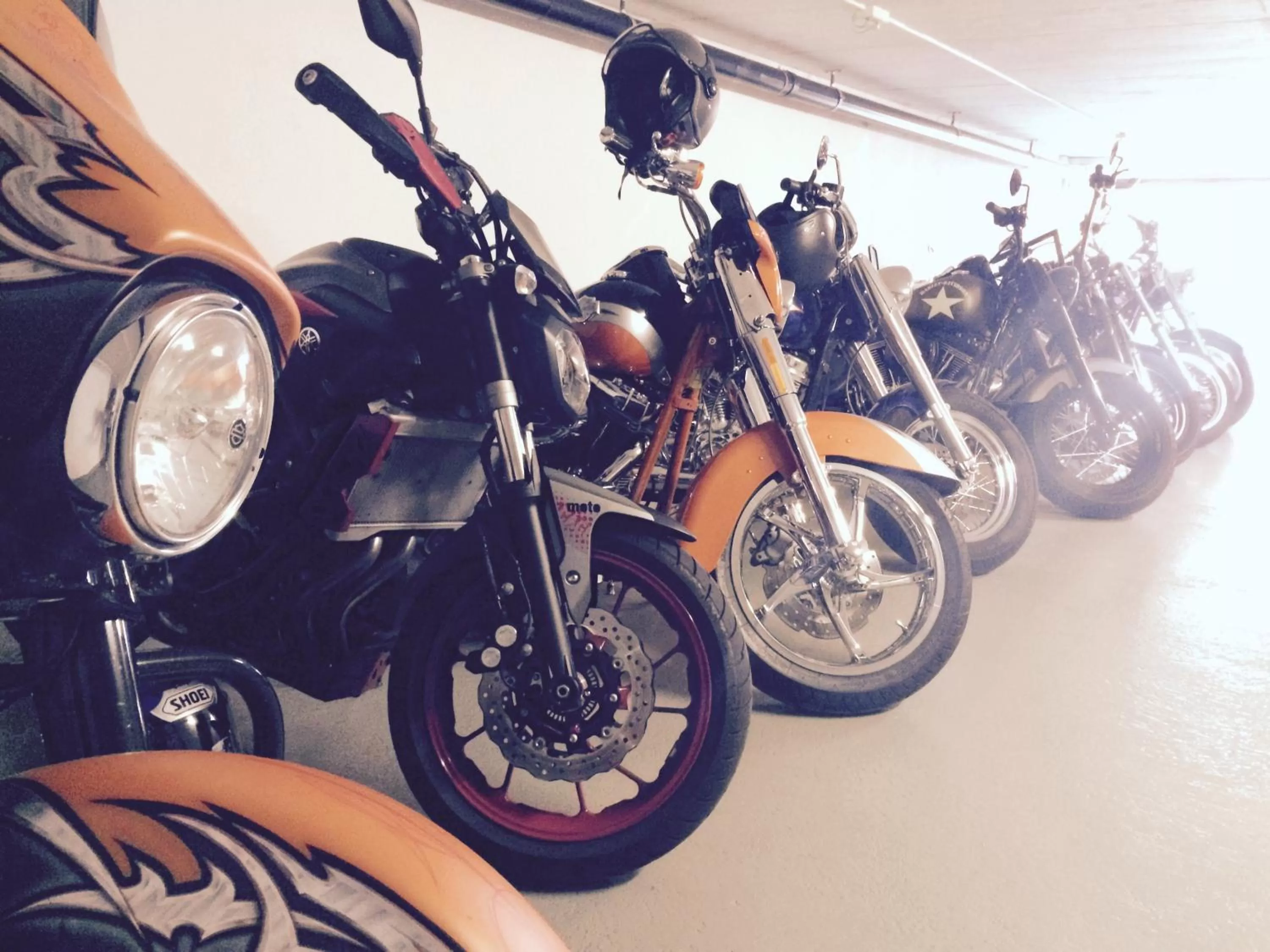 Area and facilities in Ascona Lodge, Pool & Garden Retreat