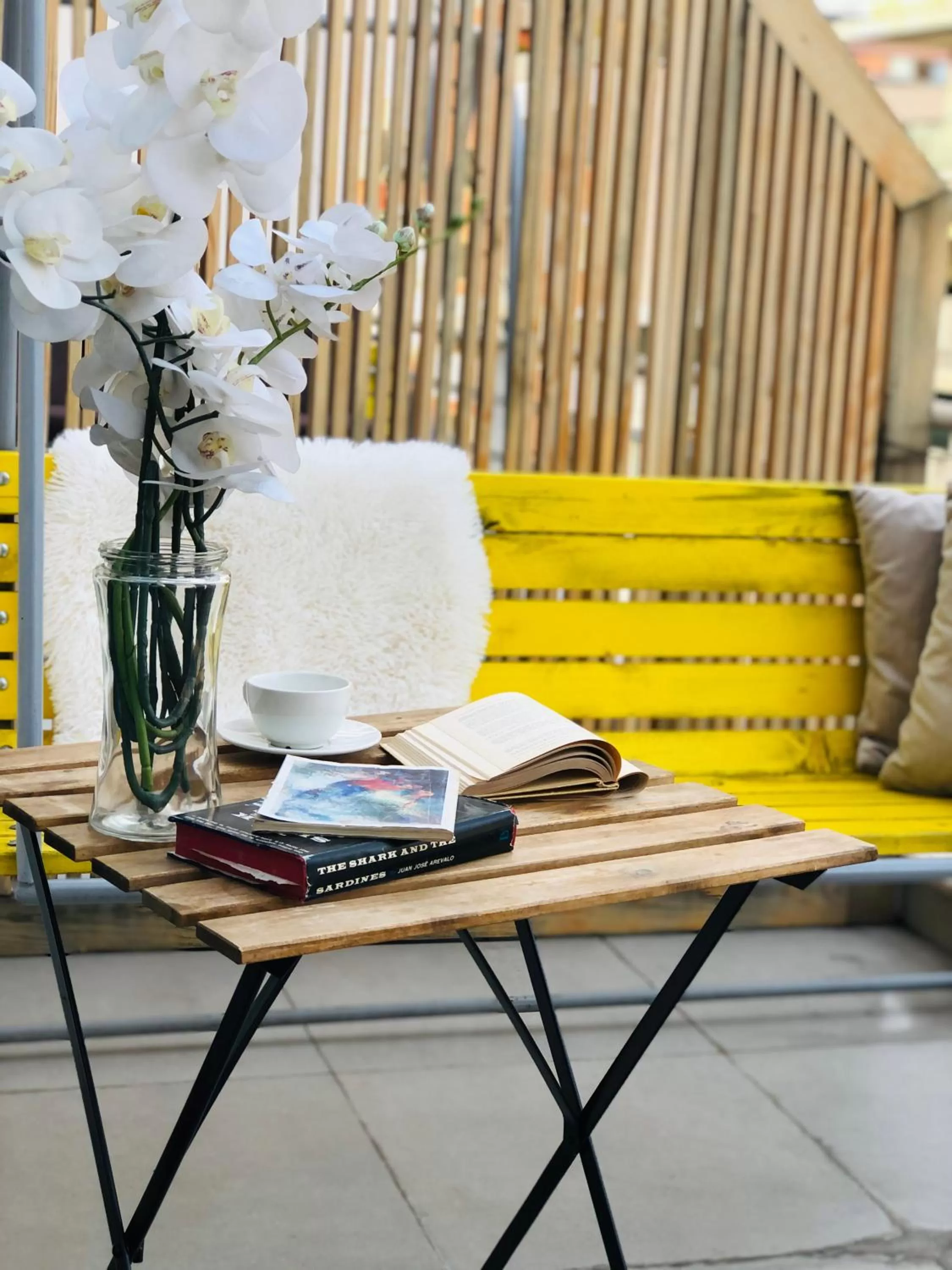 Balcony/Terrace in Rooftop Tirana