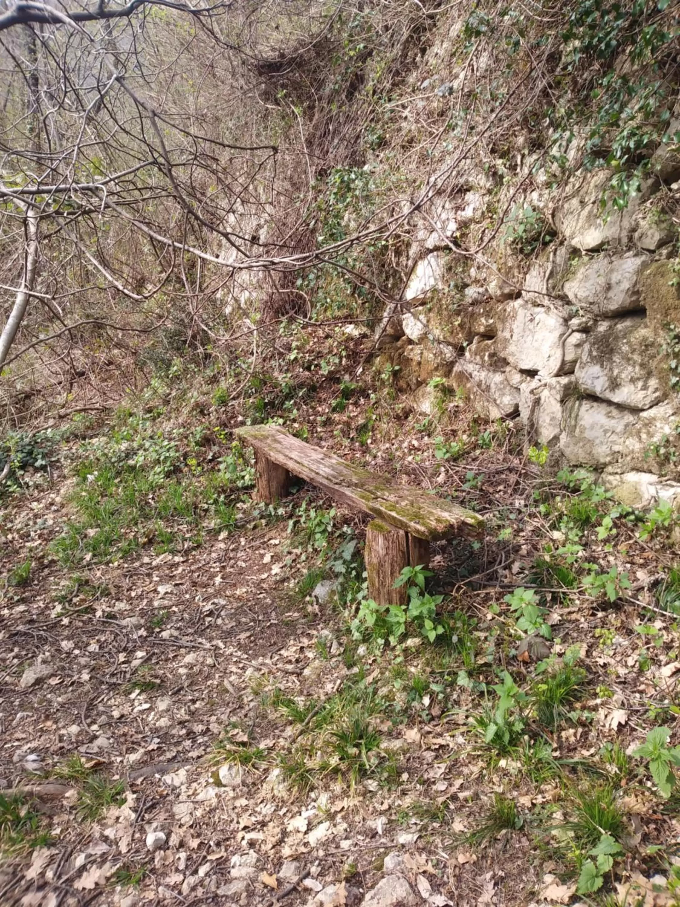 Natural landscape in Poggio del Sole
