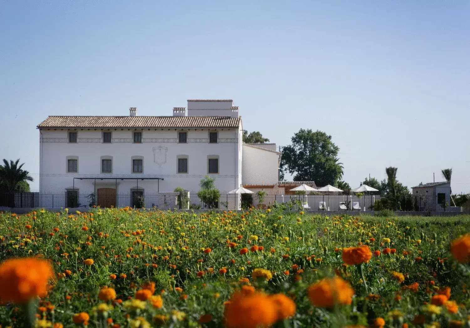 La Mozaira La Mozaira