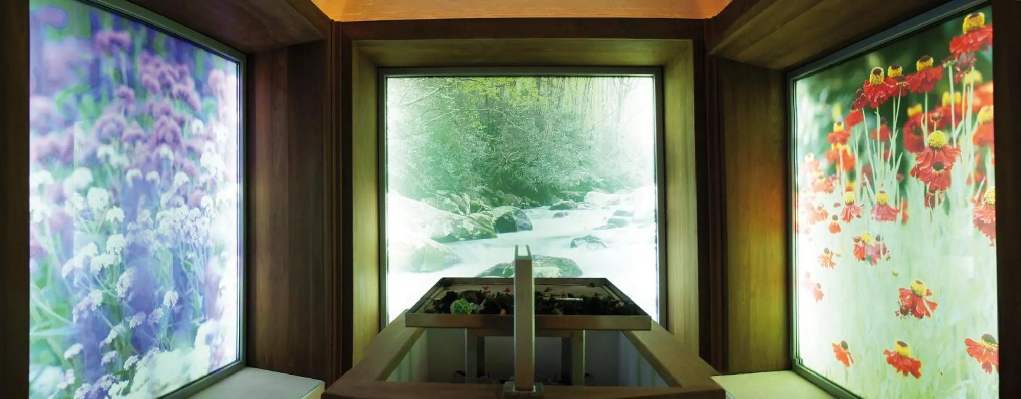 On site in Tenuta Moreno