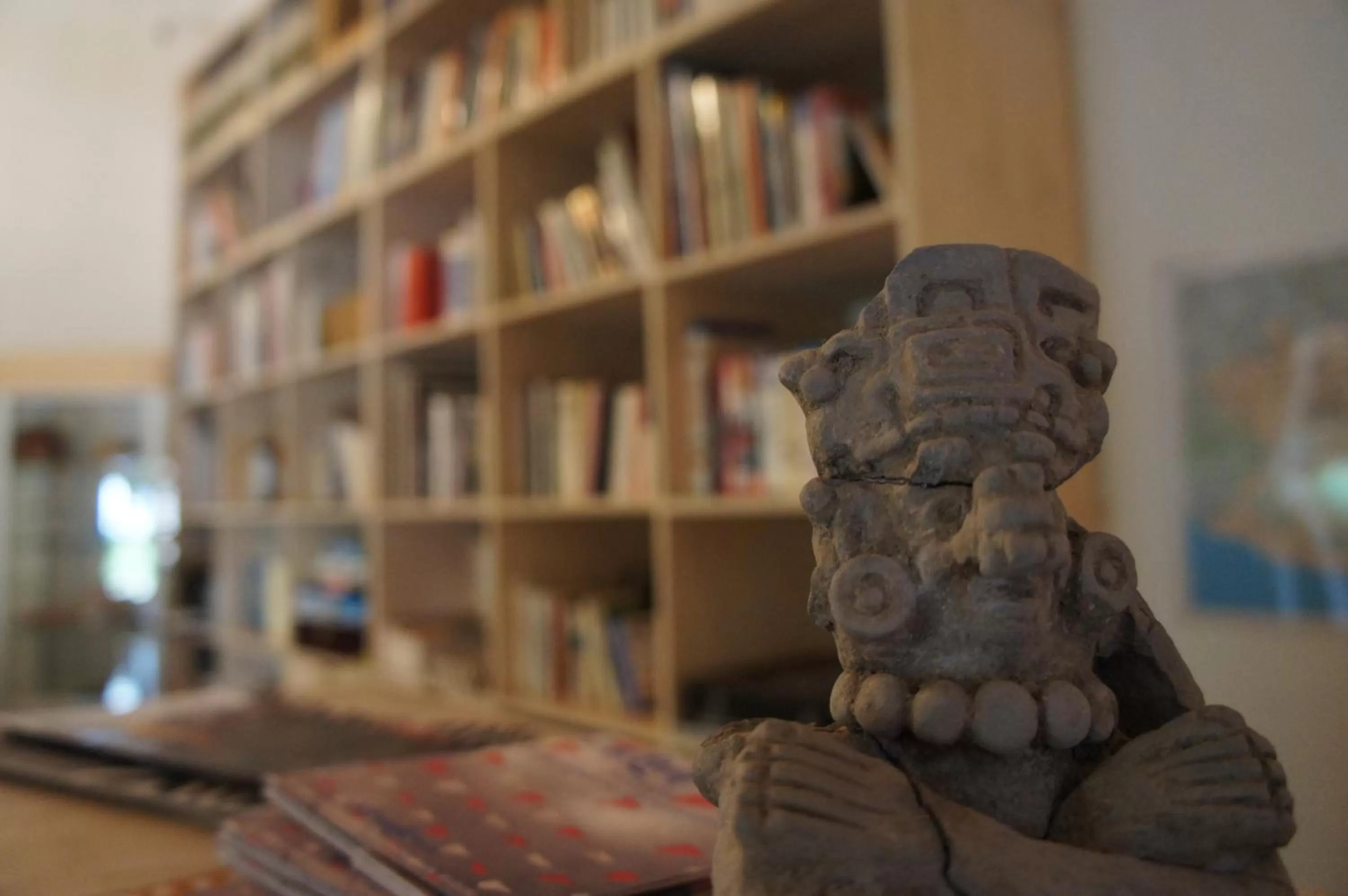 Library in Hotel Cosijo - San Jeronimo Tlacochahuaya