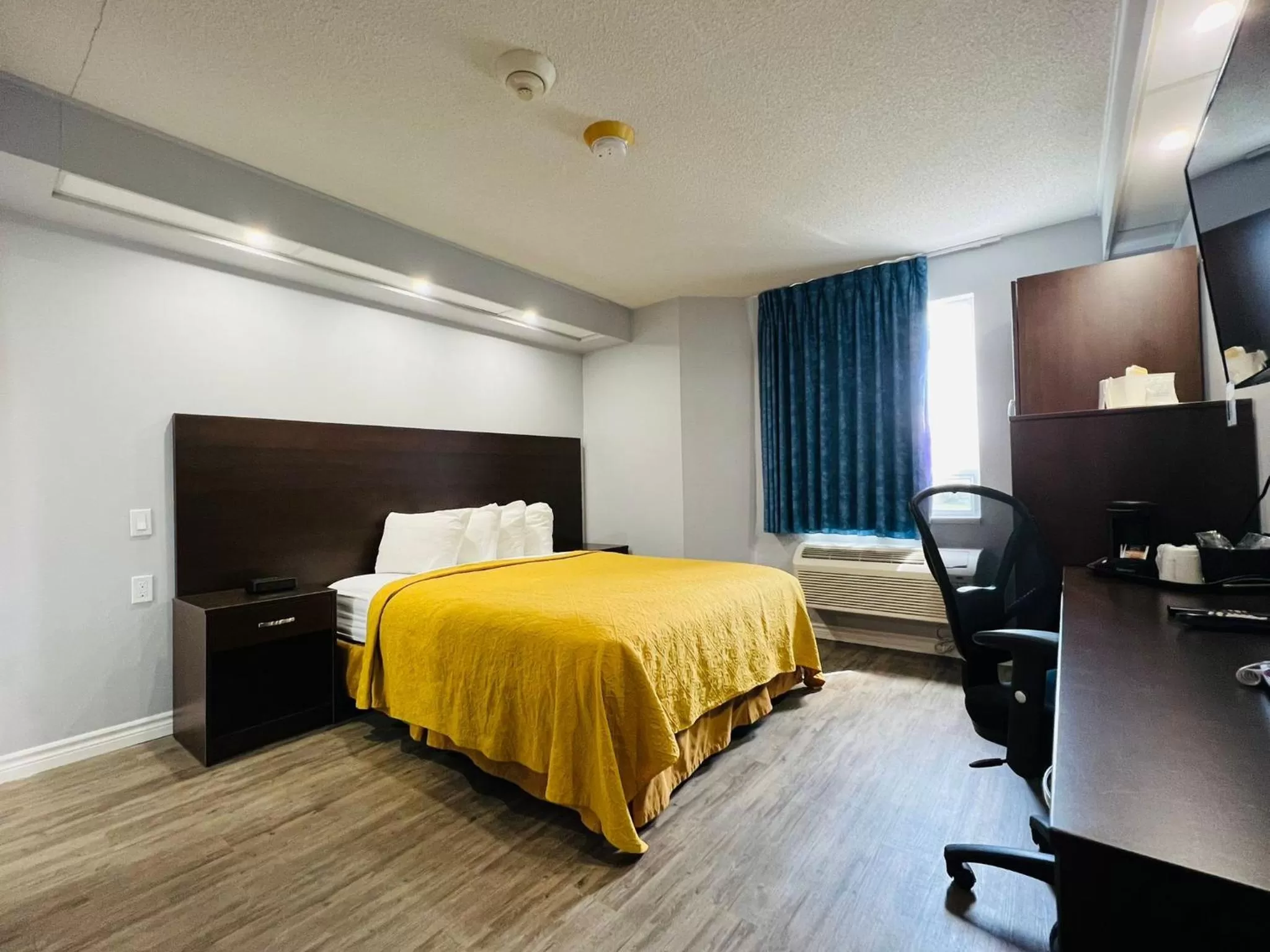 Queen Room - Disability Access - Non-Smoking in Spark by Hilton Brockville