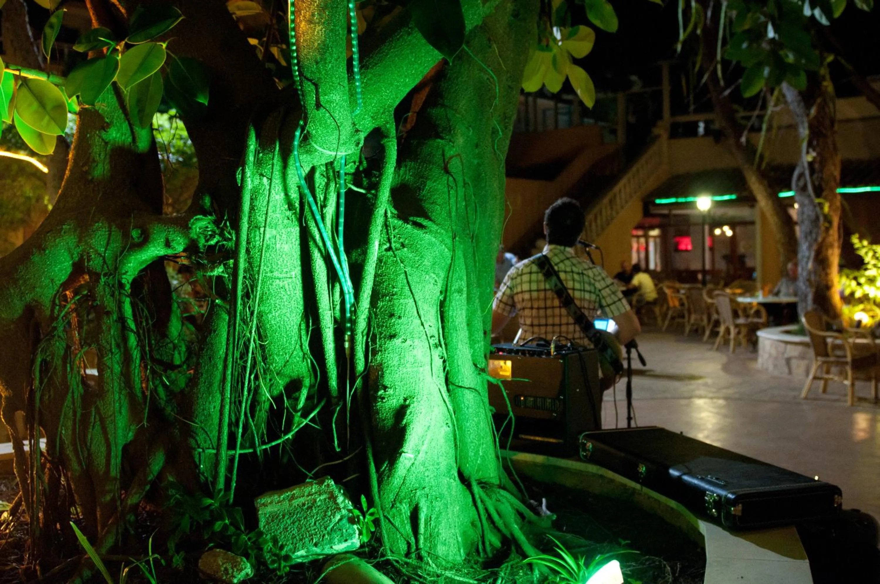 Restaurant/places to eat in Hotel Baviera