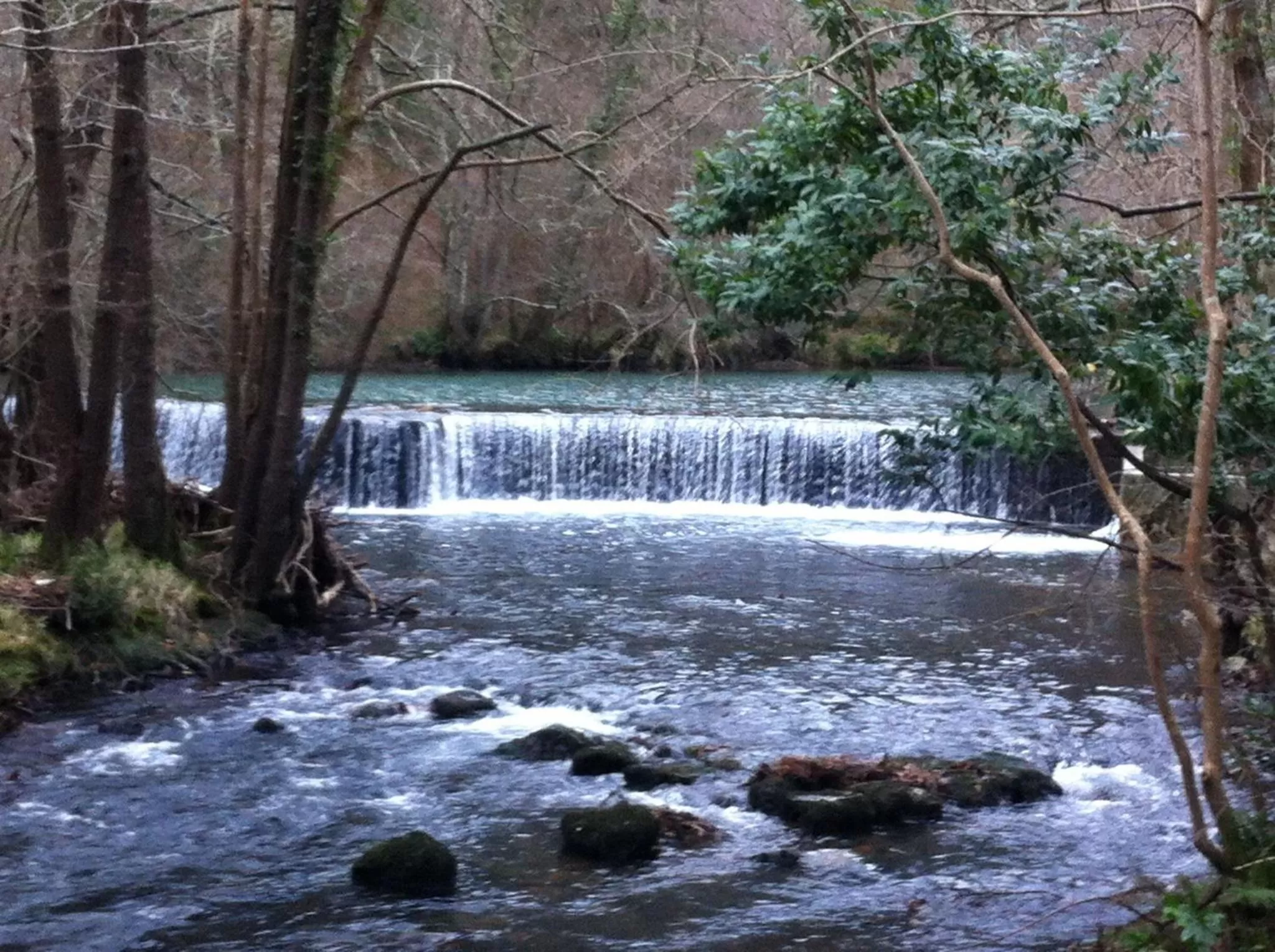 Natural Landscape in Hotel Palacio Oxangoiti