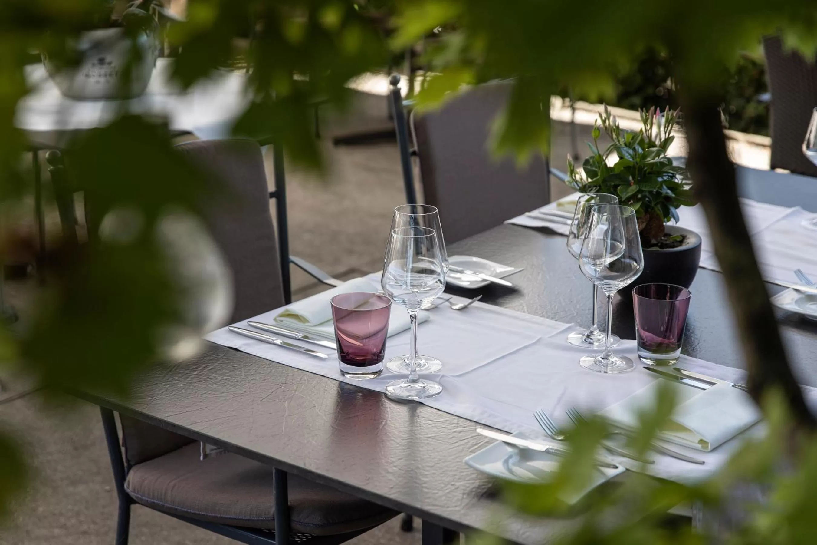 Balcony/Terrace in Hotel de Charme Römerhof