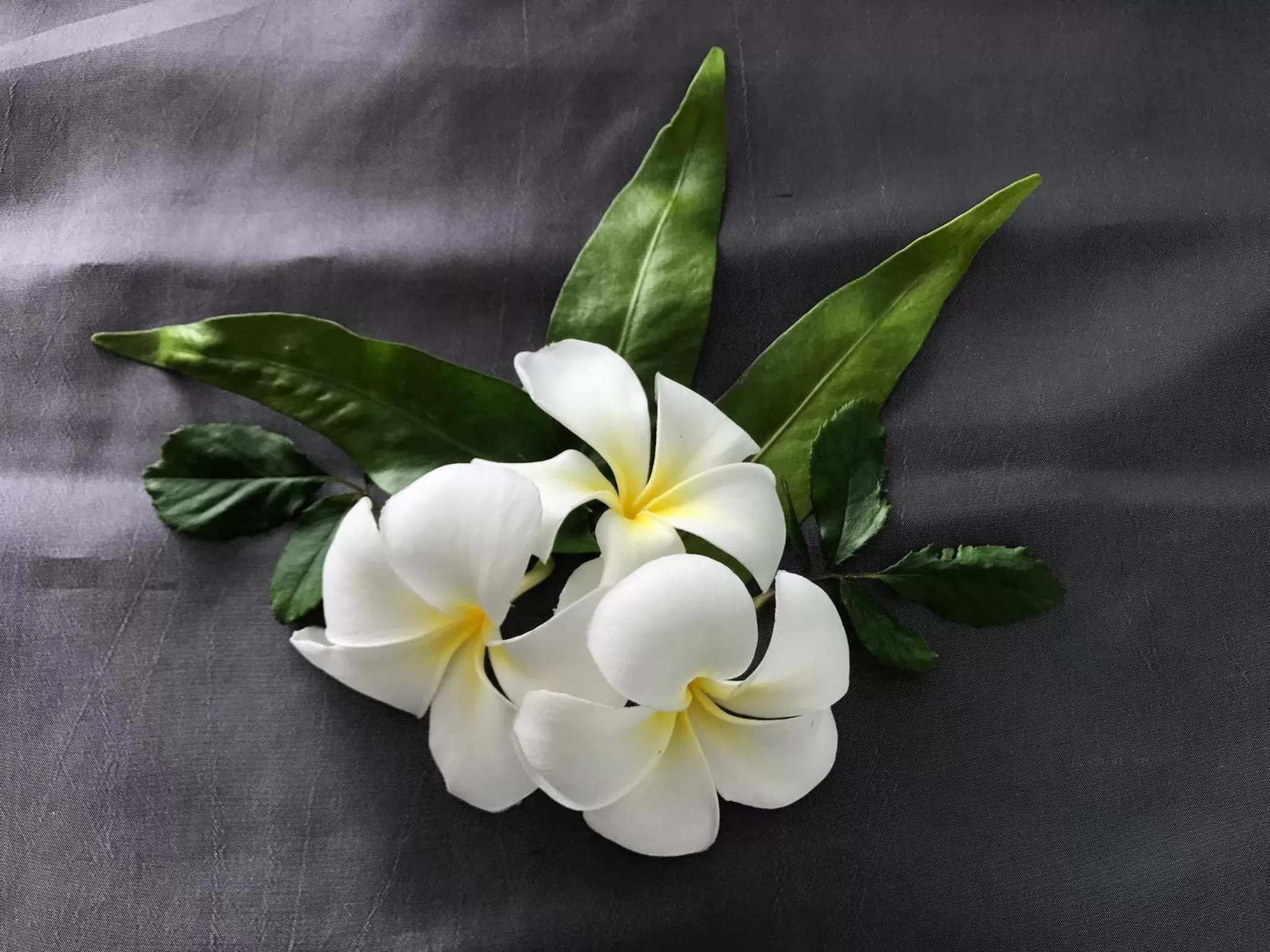 Aonang Sea Valley Resort