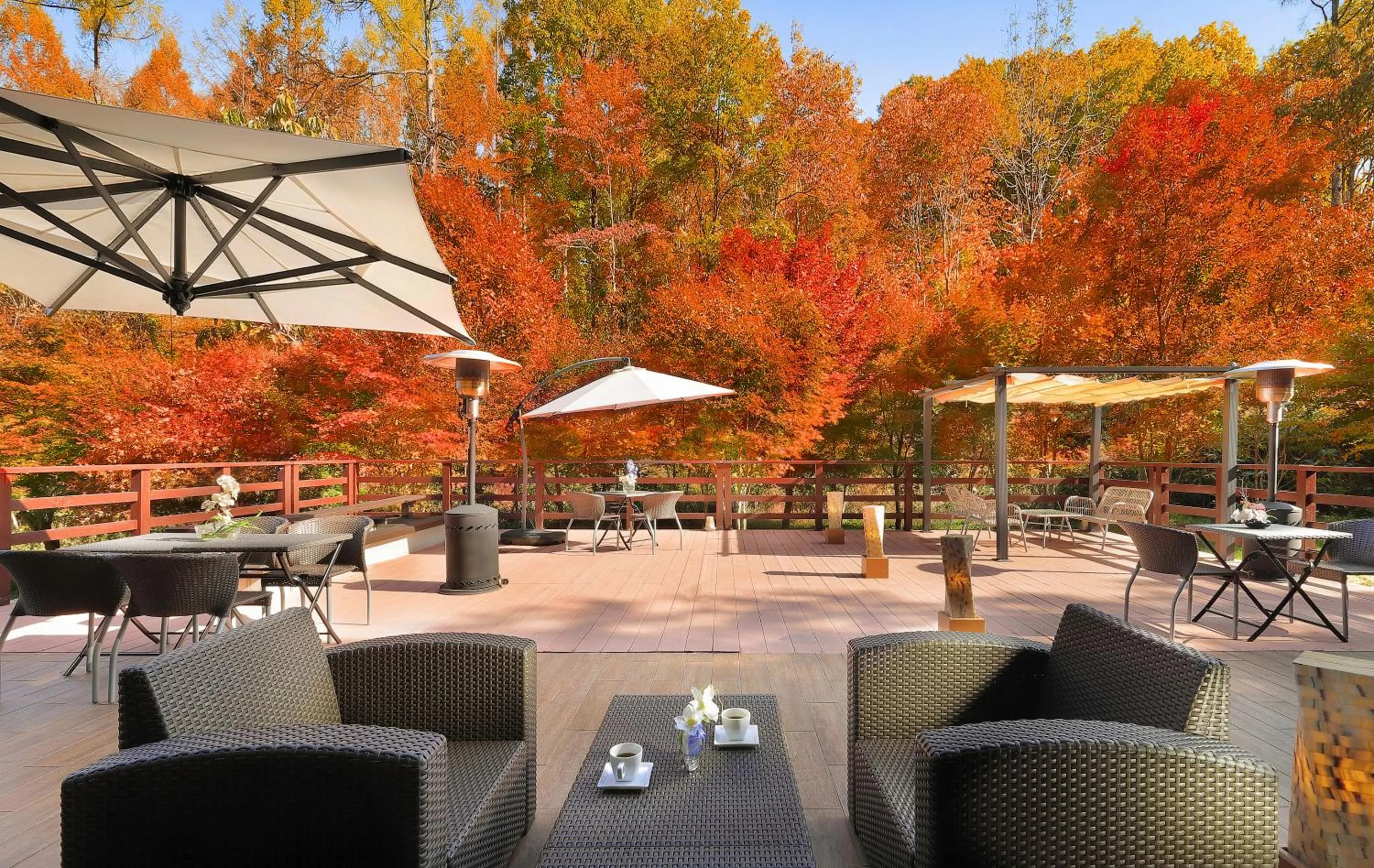 Balcony/Terrace in Hotel Ryu Resort and Spa