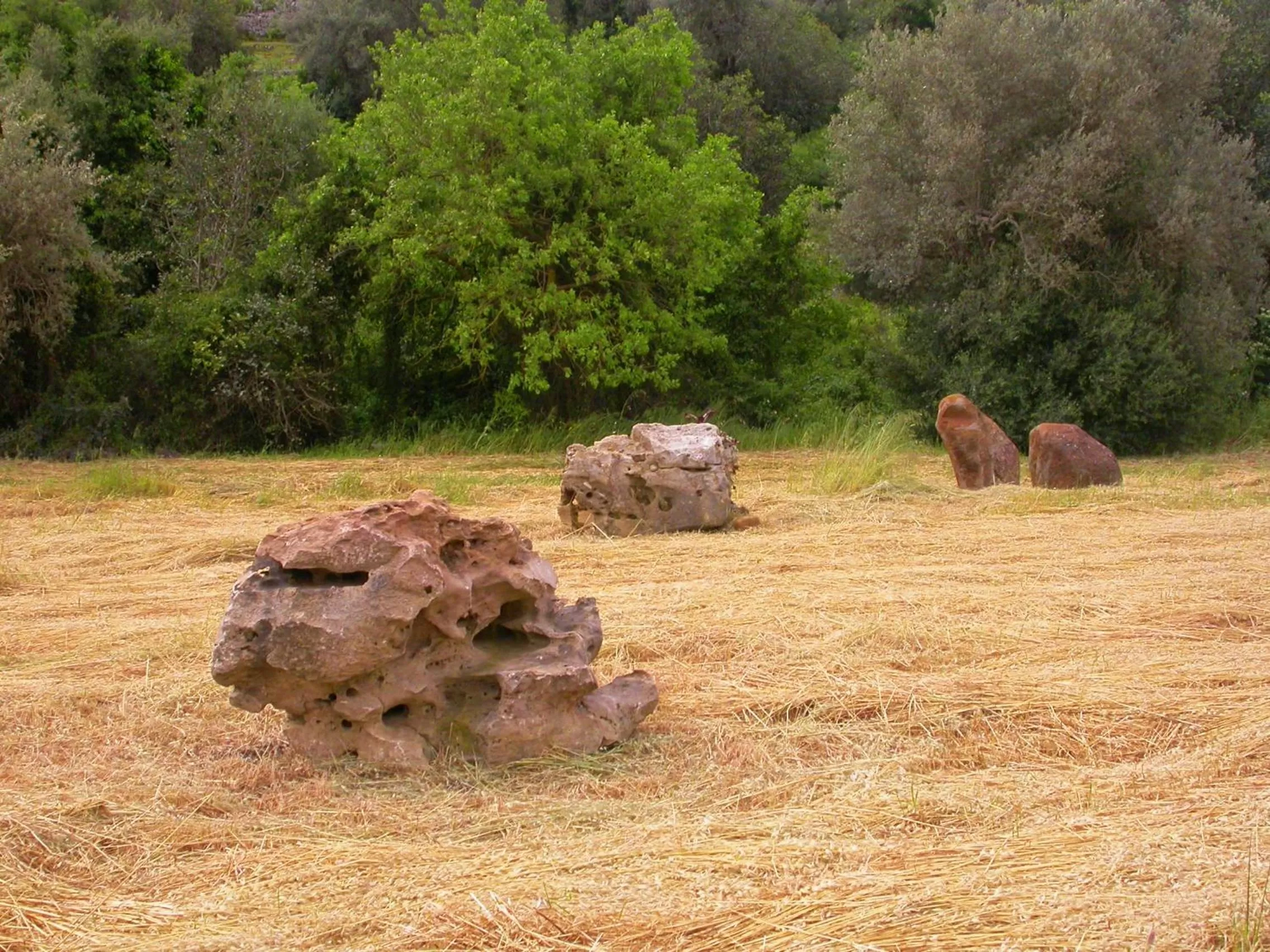 Natural landscape in Relais Parco Cavalonga