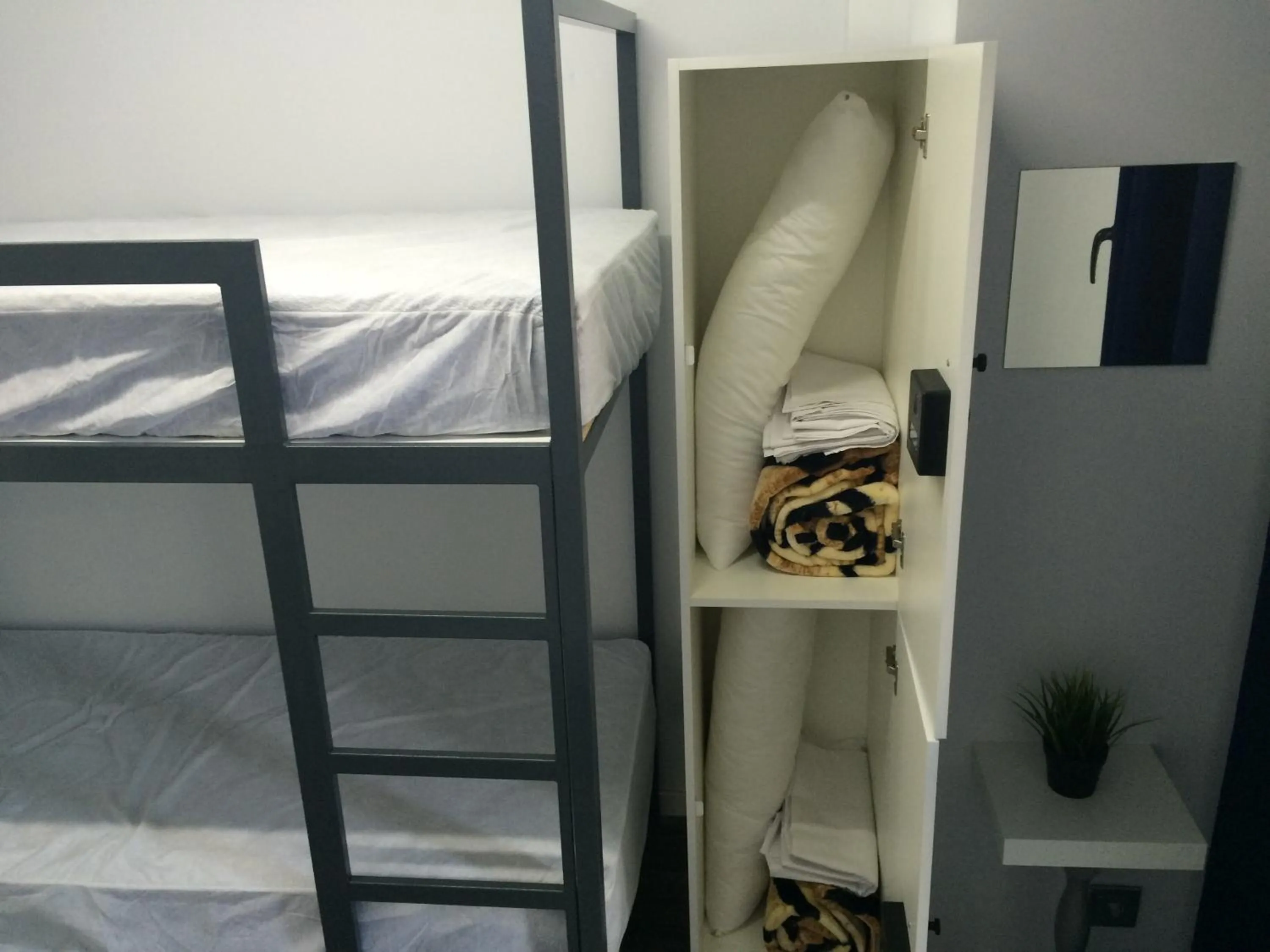 Bed in Chameleon Youth Hostel Alicante