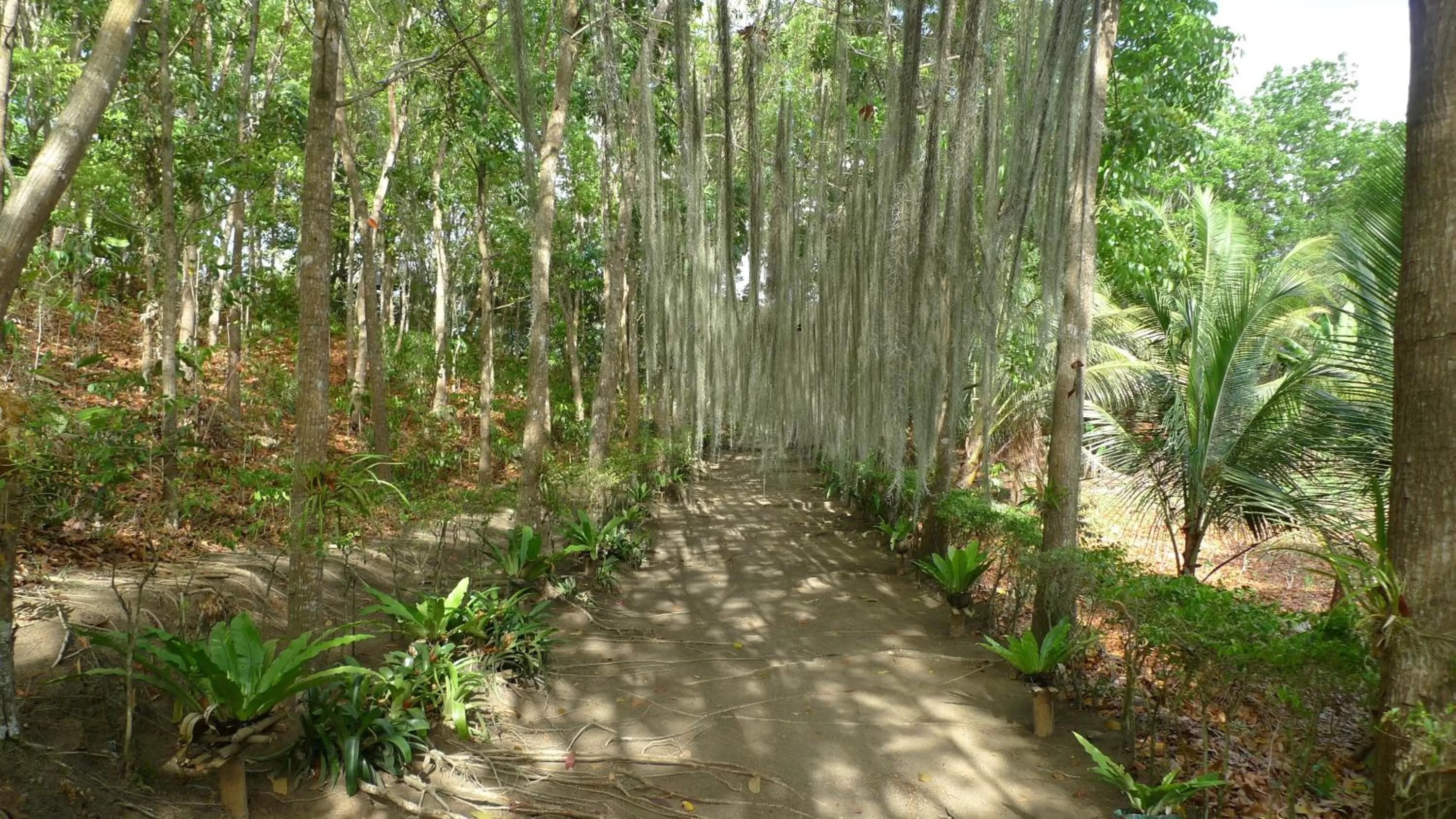 Off site in Paseo Del Mar Seaside Inn