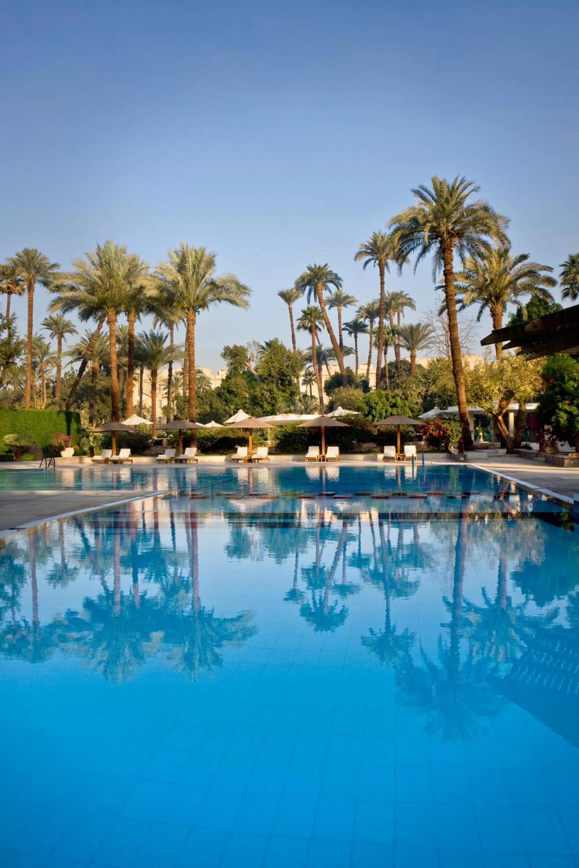 Swimming pool in Pavillon Winter Luxor