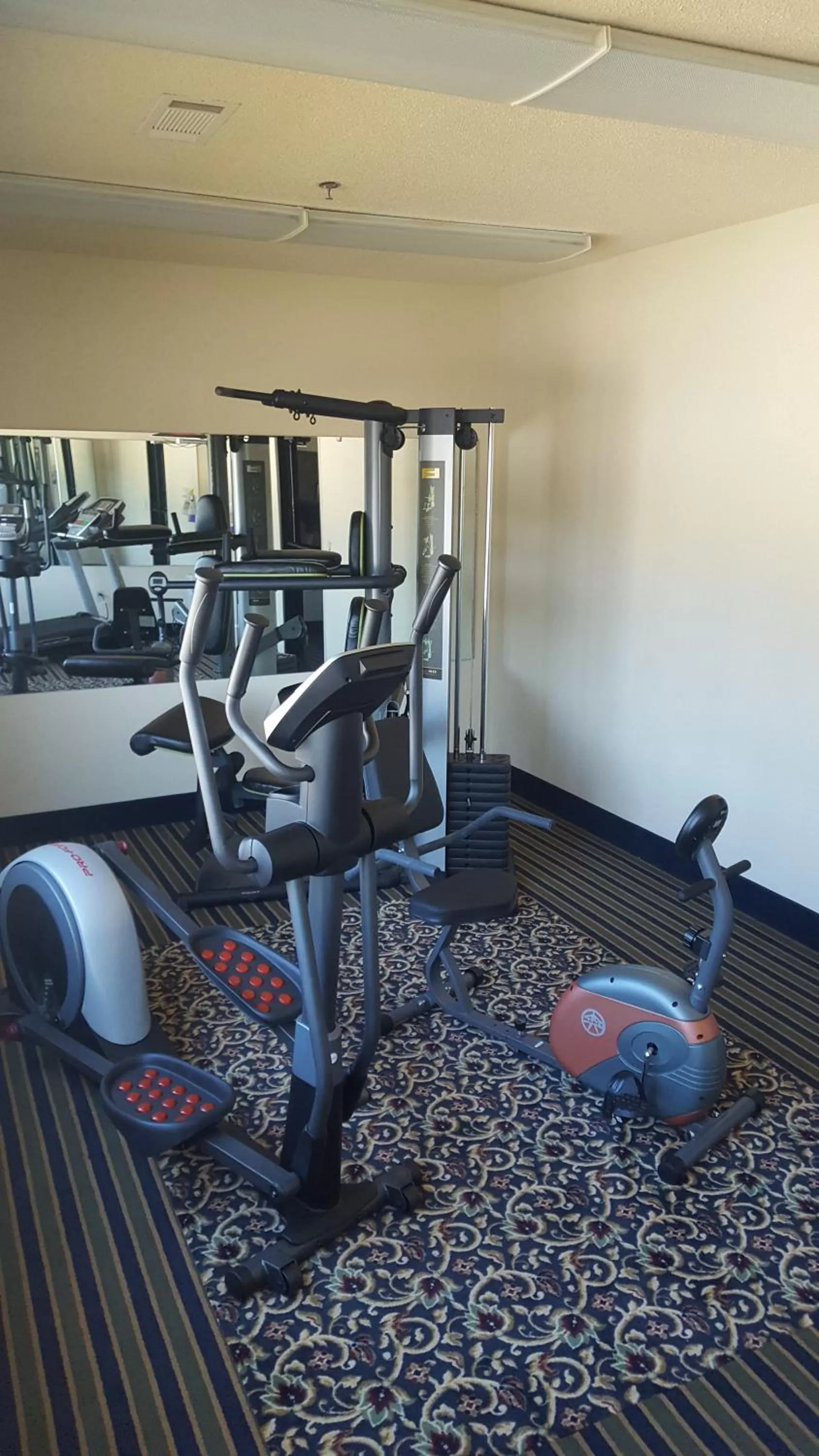 Fitness centre/facilities in The Rutledge Inn