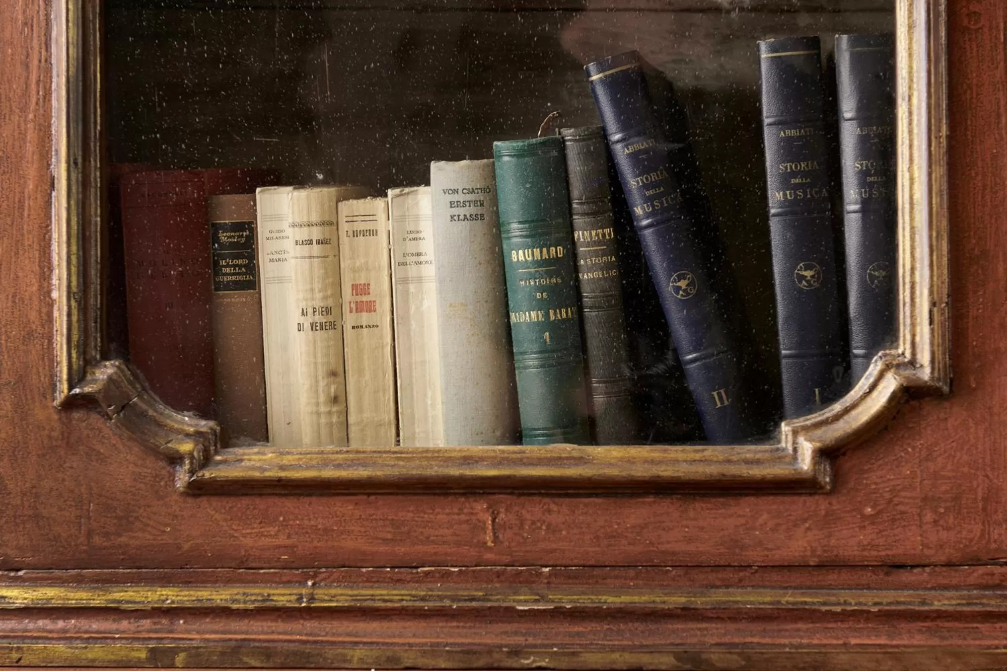 Library in Villa Stecchini