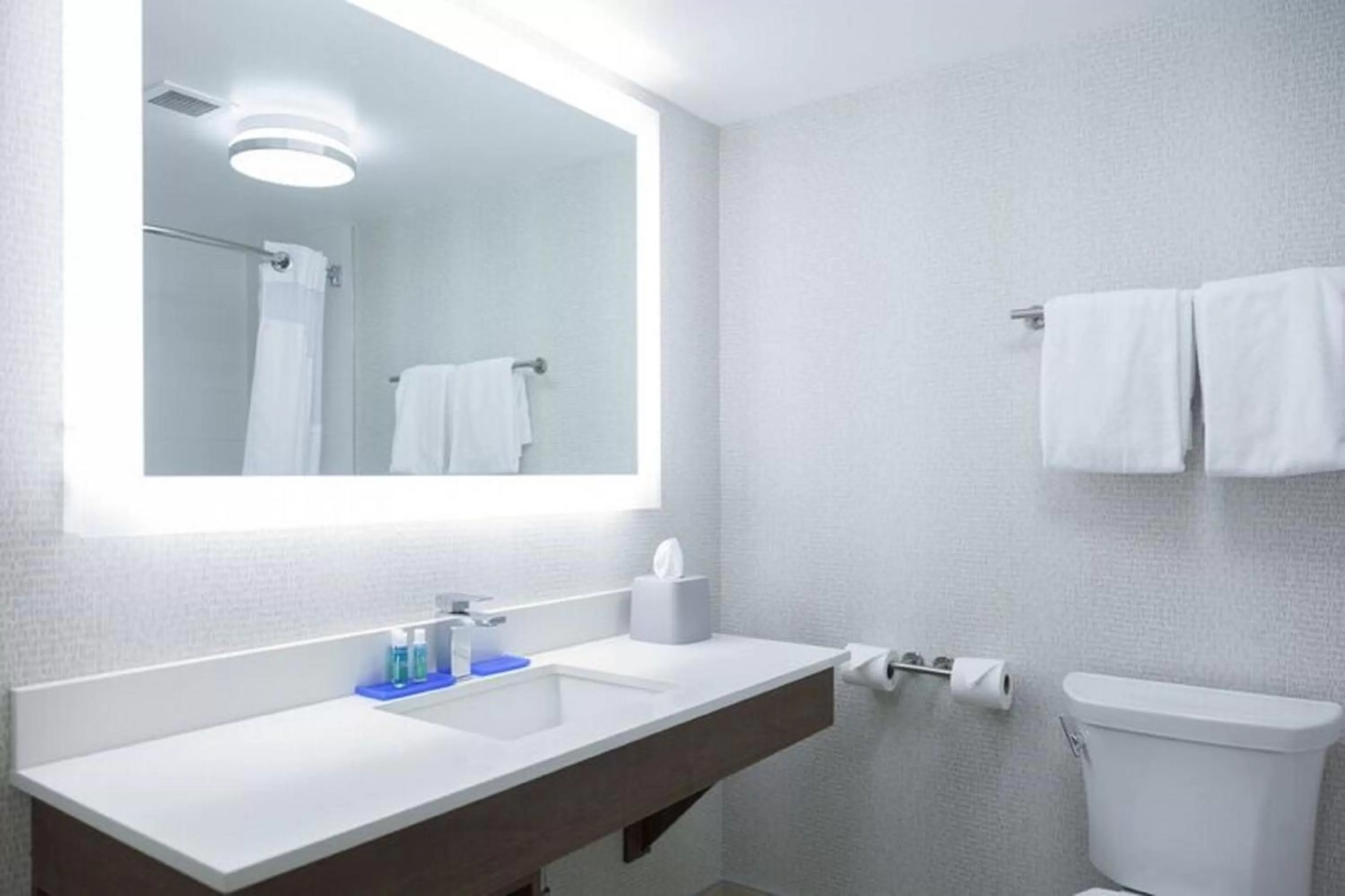 Bathroom in Holiday Inn Express Hotel & Suites Charlottetown by IHG