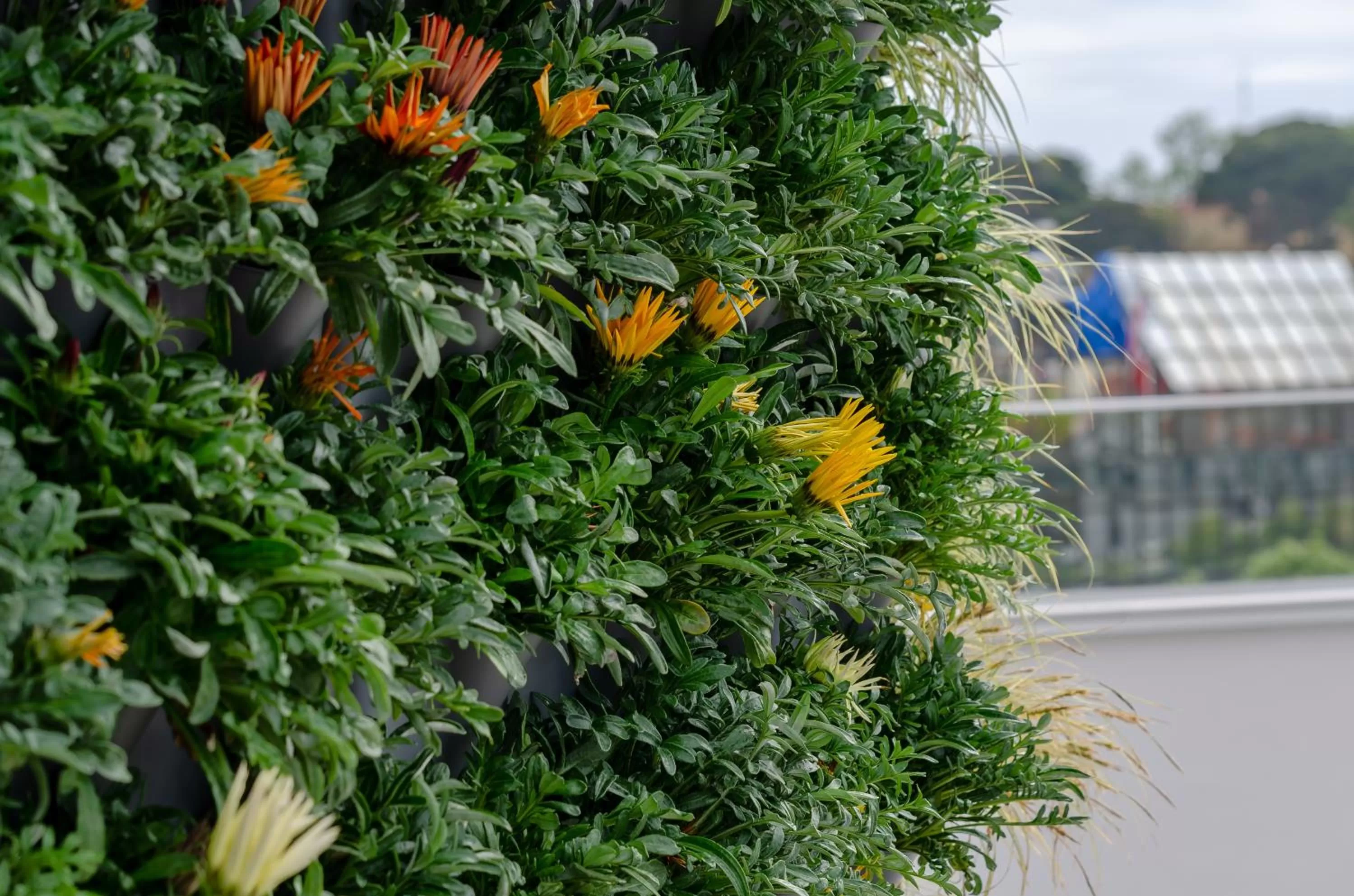 Garden in TURIM Boulevard Hotel