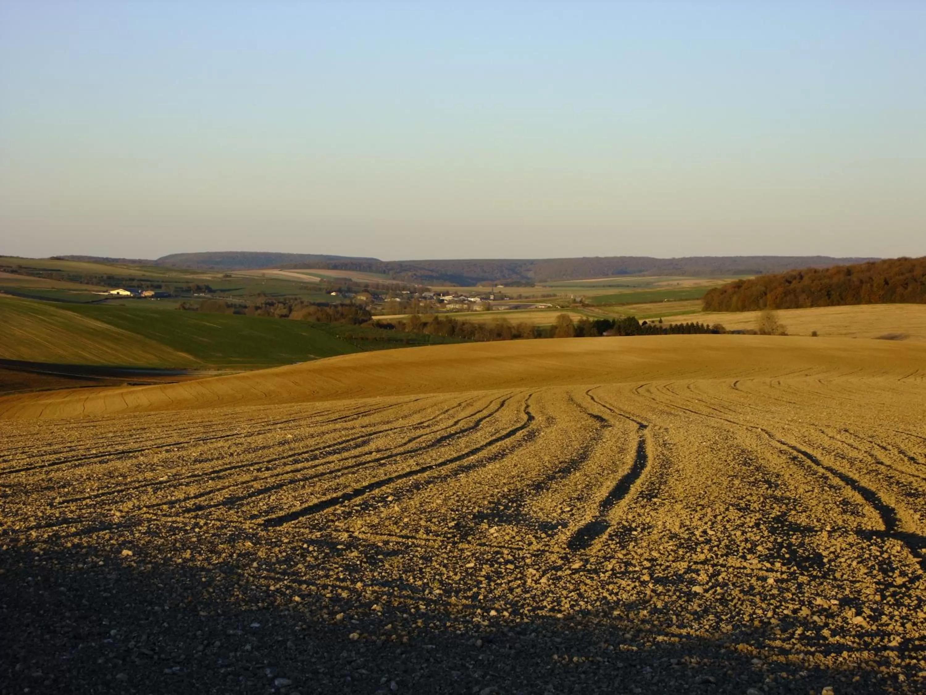 Natural landscape in 14-18 Meuse-Argonne