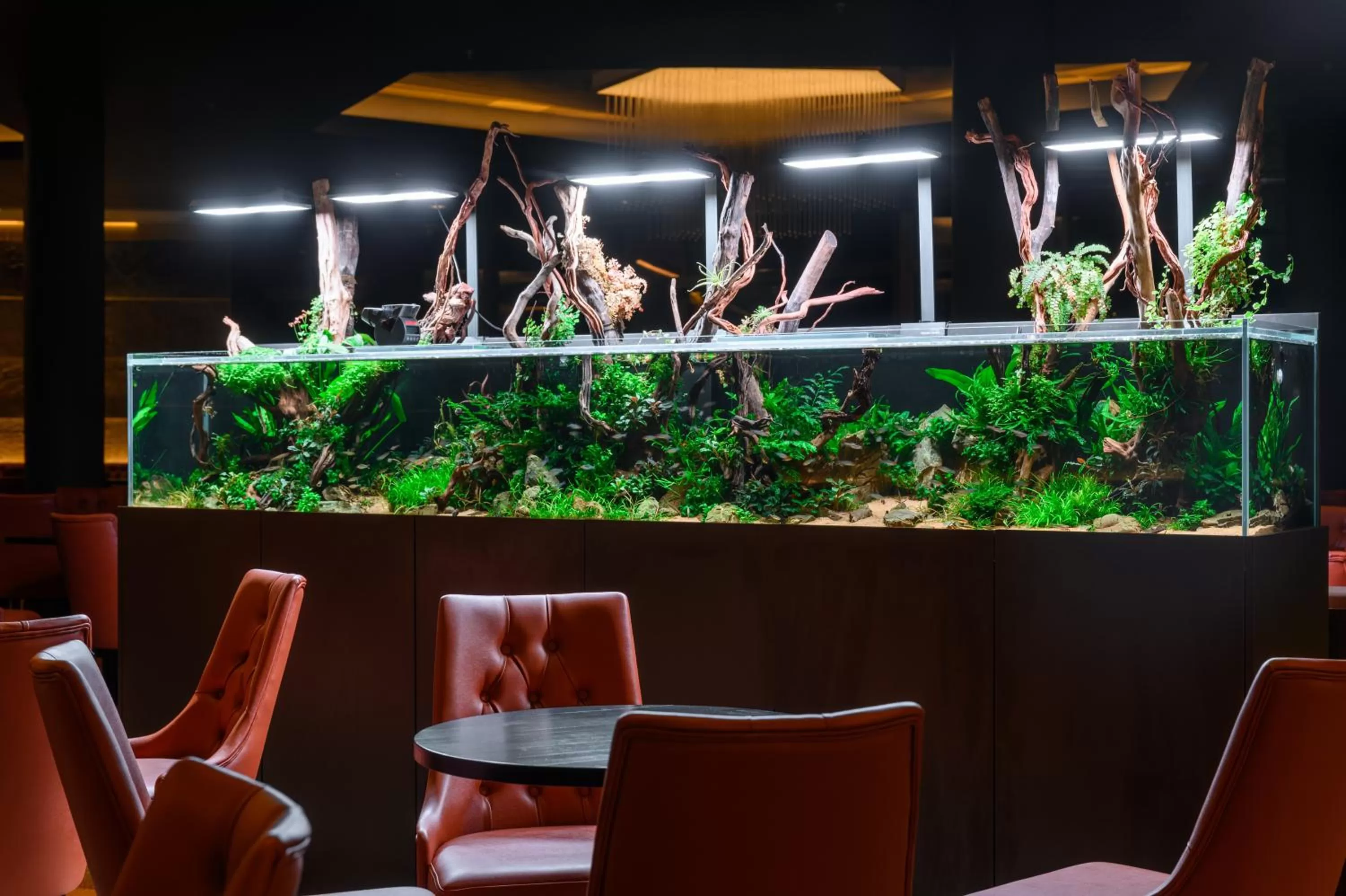 Restaurant/places to eat in Minaro Hotel Tokaj - MGallery Collection