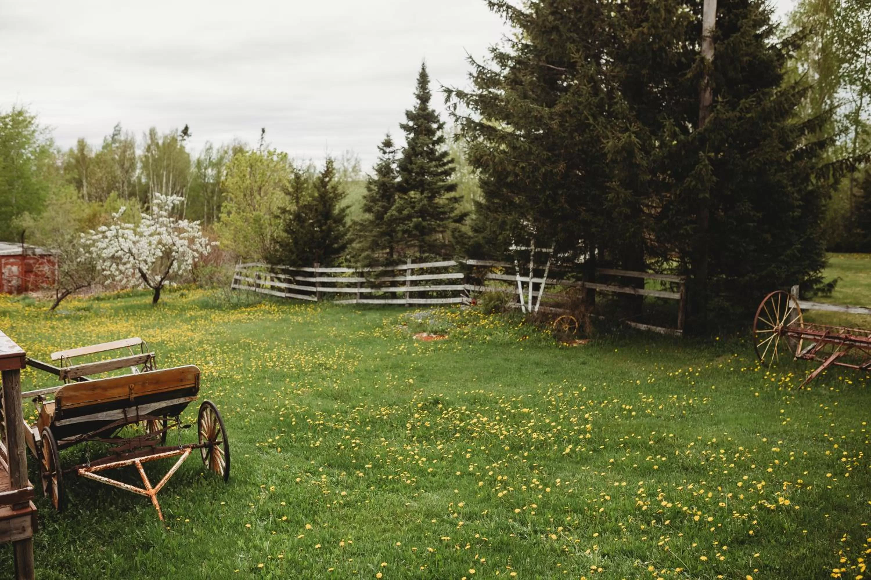 Garden in Carriage House Inn Four and a Half Stars
