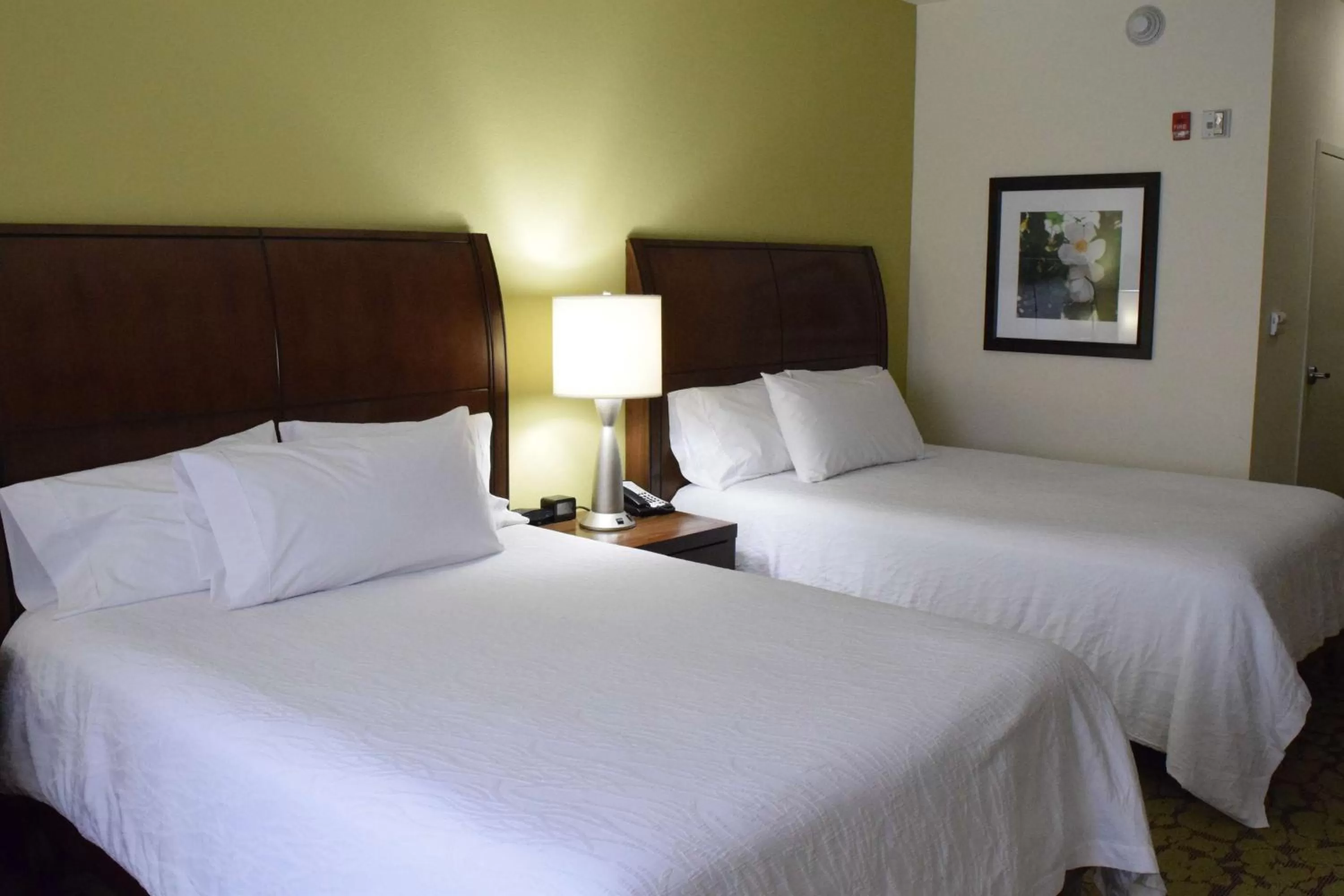 Bed in Hilton Garden Inn Rochester Downtown, NY