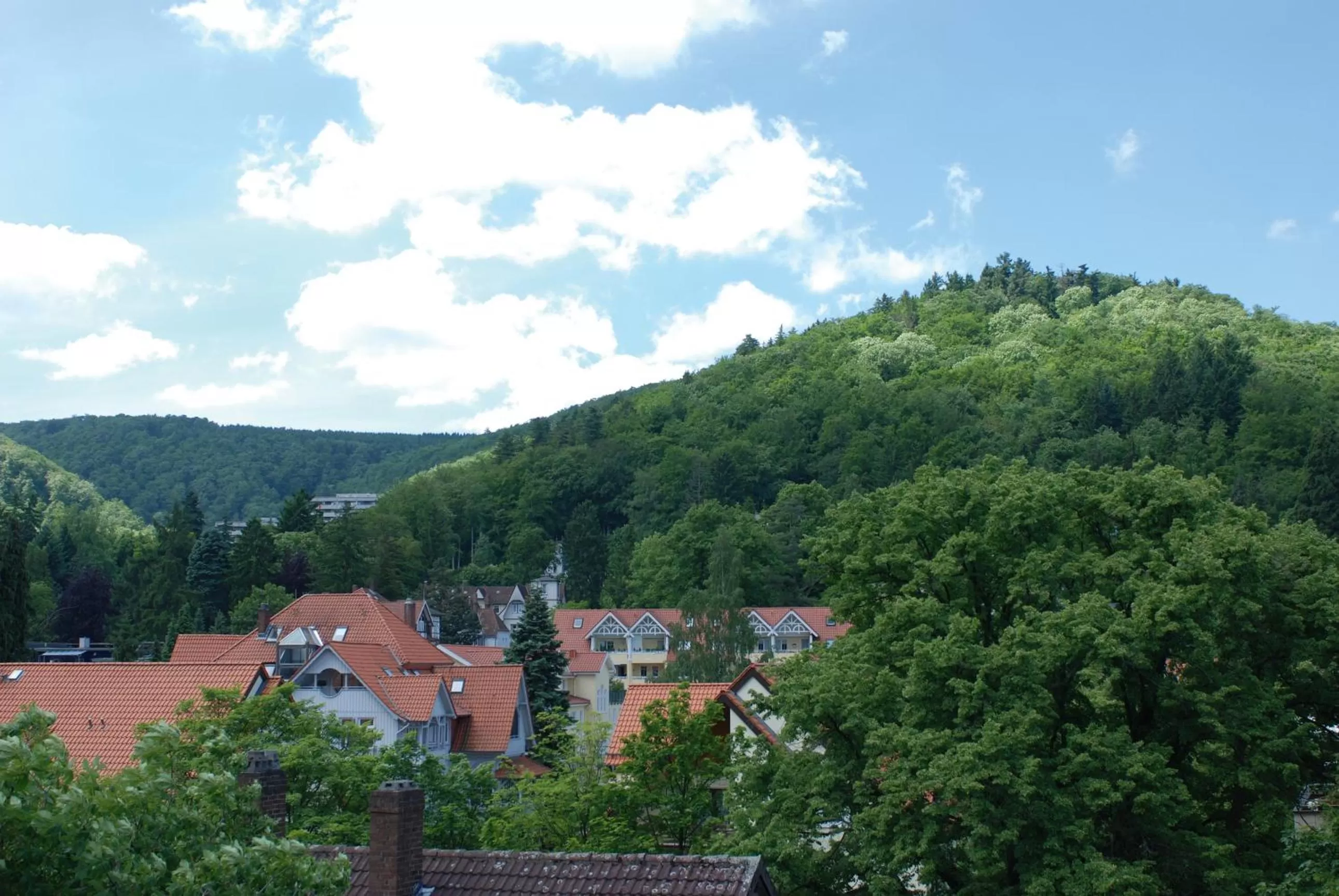 View (from property/room) in Plumbohms ECHT-HARZ-HOTEL