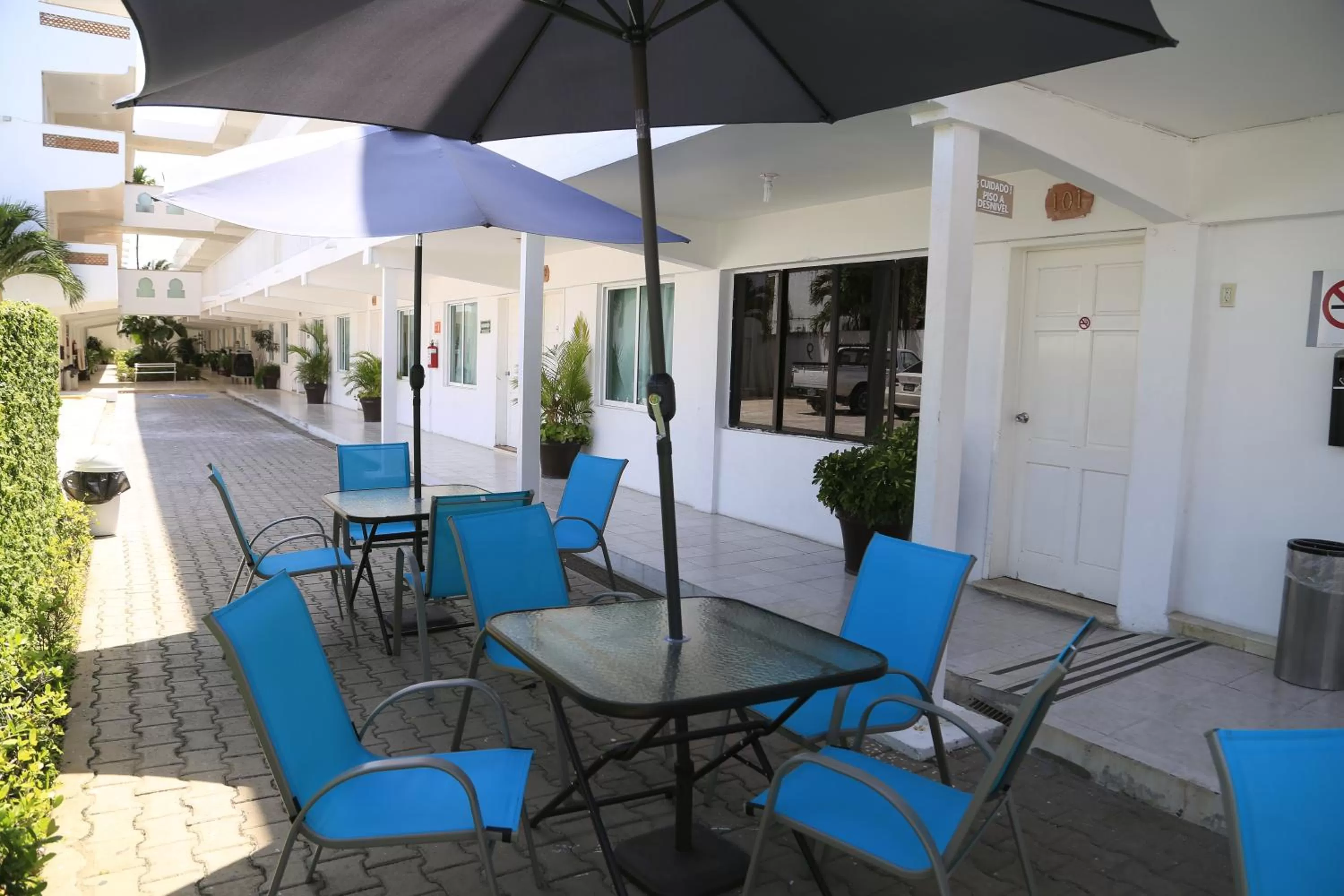 Activities in Hotel Casa Blanca