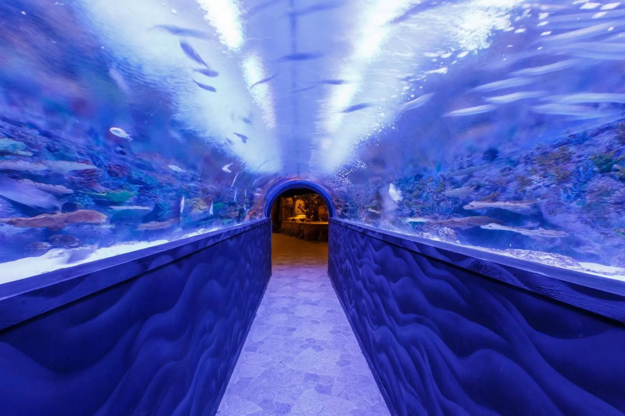 Animals in Vialand Palace Hotel