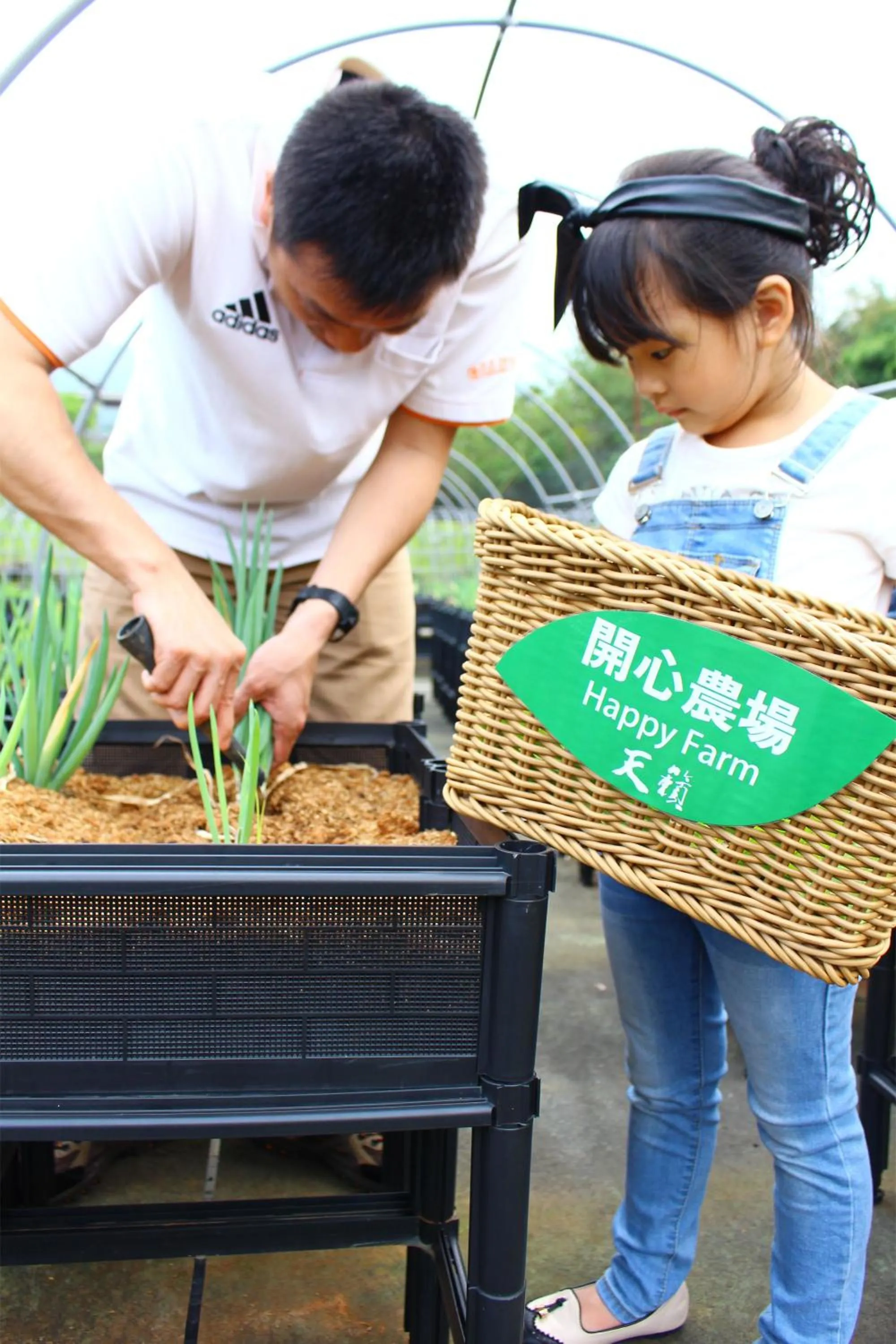 Activities in Yang Ming Shan Tien Lai Resort & Spa