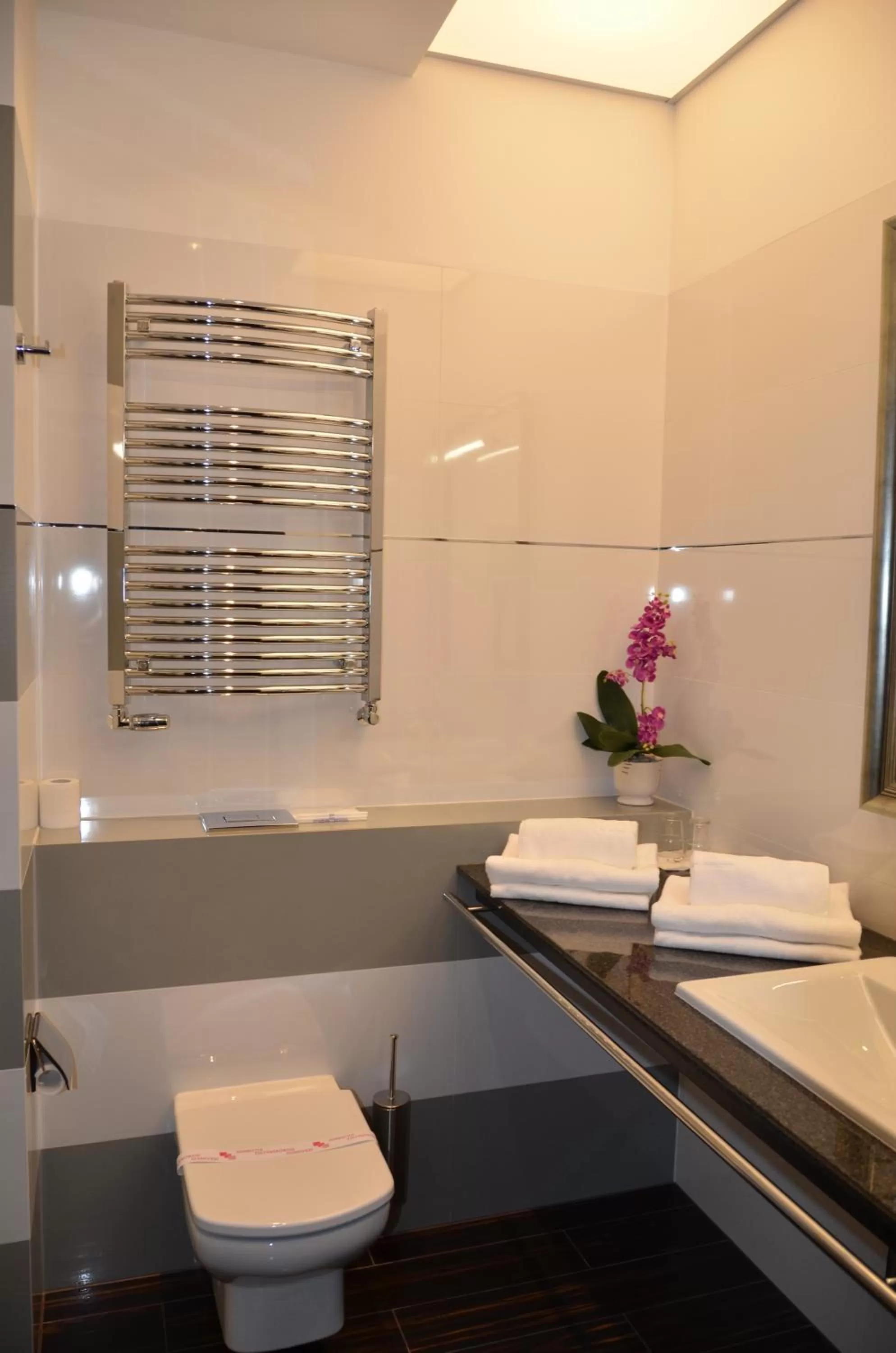 Bathroom in Hotel Falko