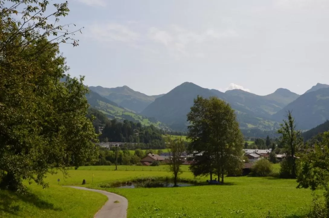 Natural landscape in Malernhof