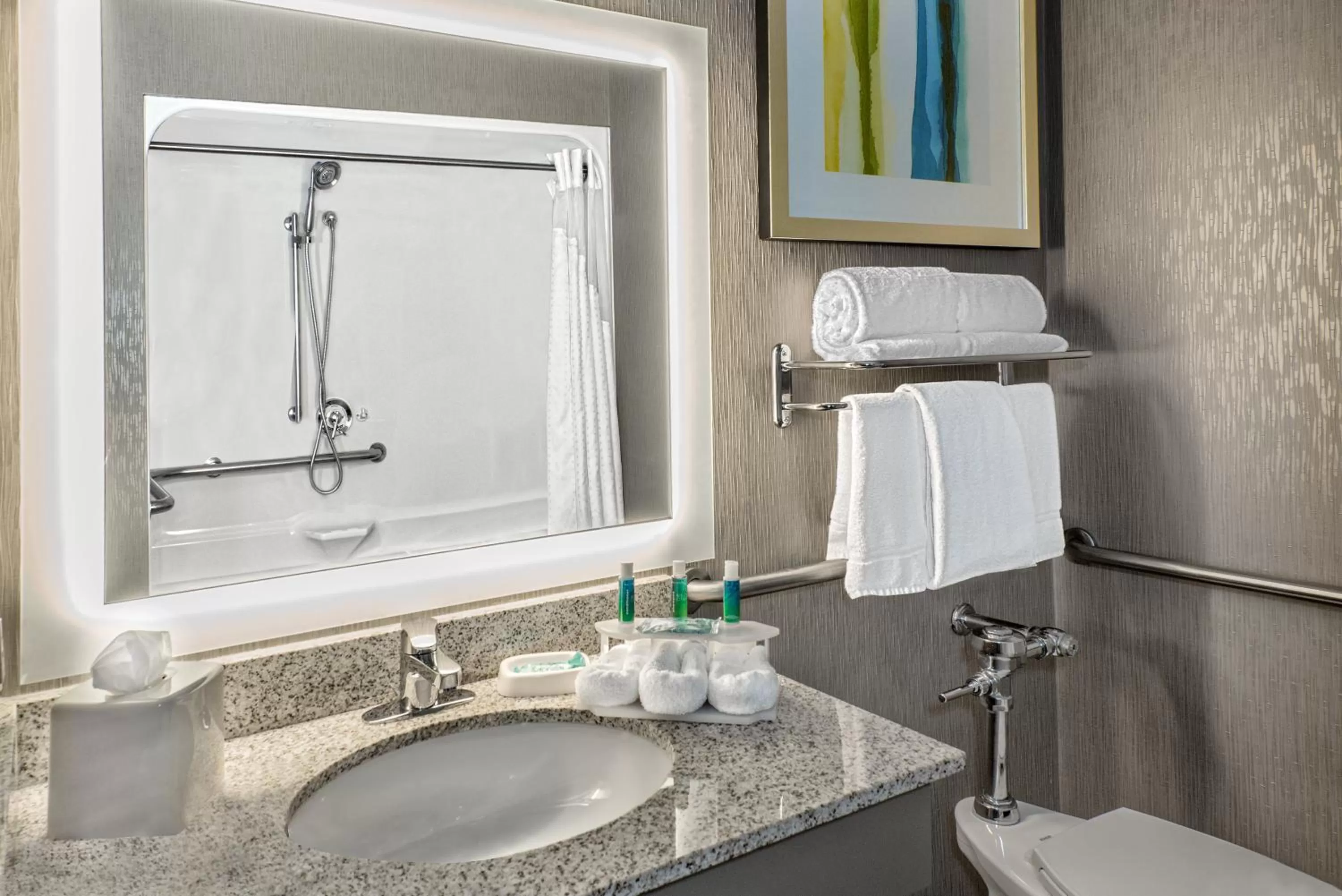 Deluxe Suite - Disability Access Tub/Non-Smoking in Holiday Inn Express Hotel and Suites Fort Worth/I-20